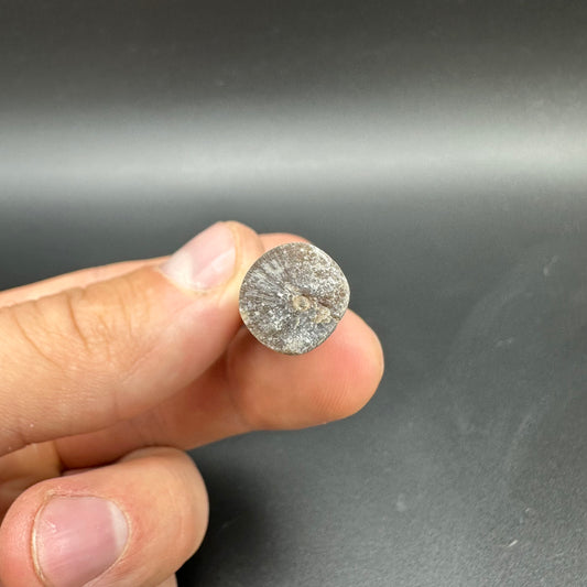 Belemnite (Fossil Squid) shell fossil - Whitby, North Yorkshire Jurassic Coast Yorkshire Fossils