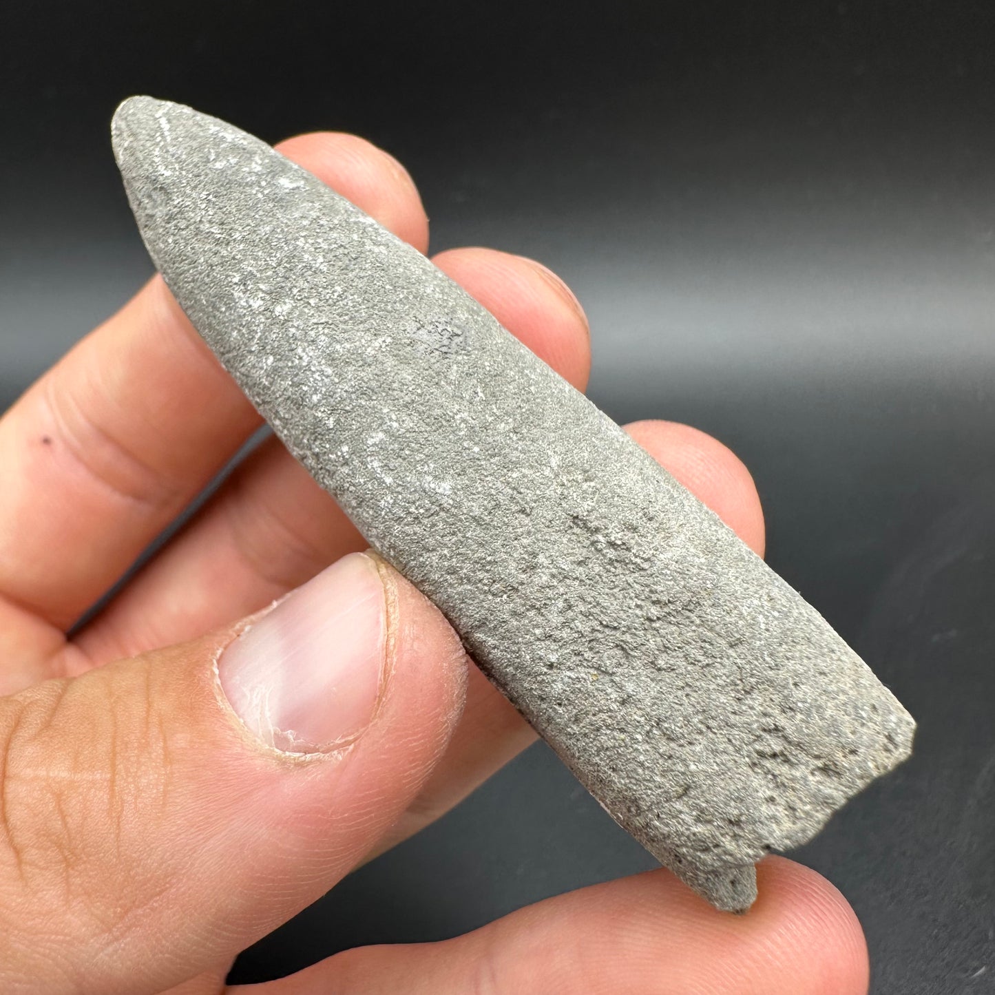 Belemnite (Fossil Squid) shell fossil - Whitby, North Yorkshire Jurassic Coast Yorkshire Fossils