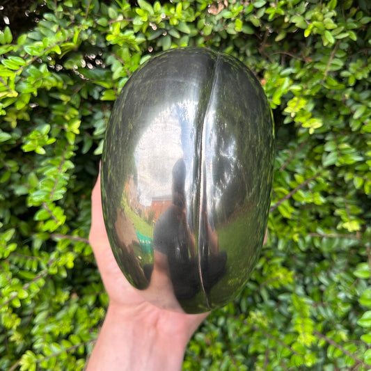 Our Largest Golden Egg! (GENUINE) Ammonite Fossil With Stand - Whitby, North Yorkshire Jurassic Coast Yorkshire Fossils