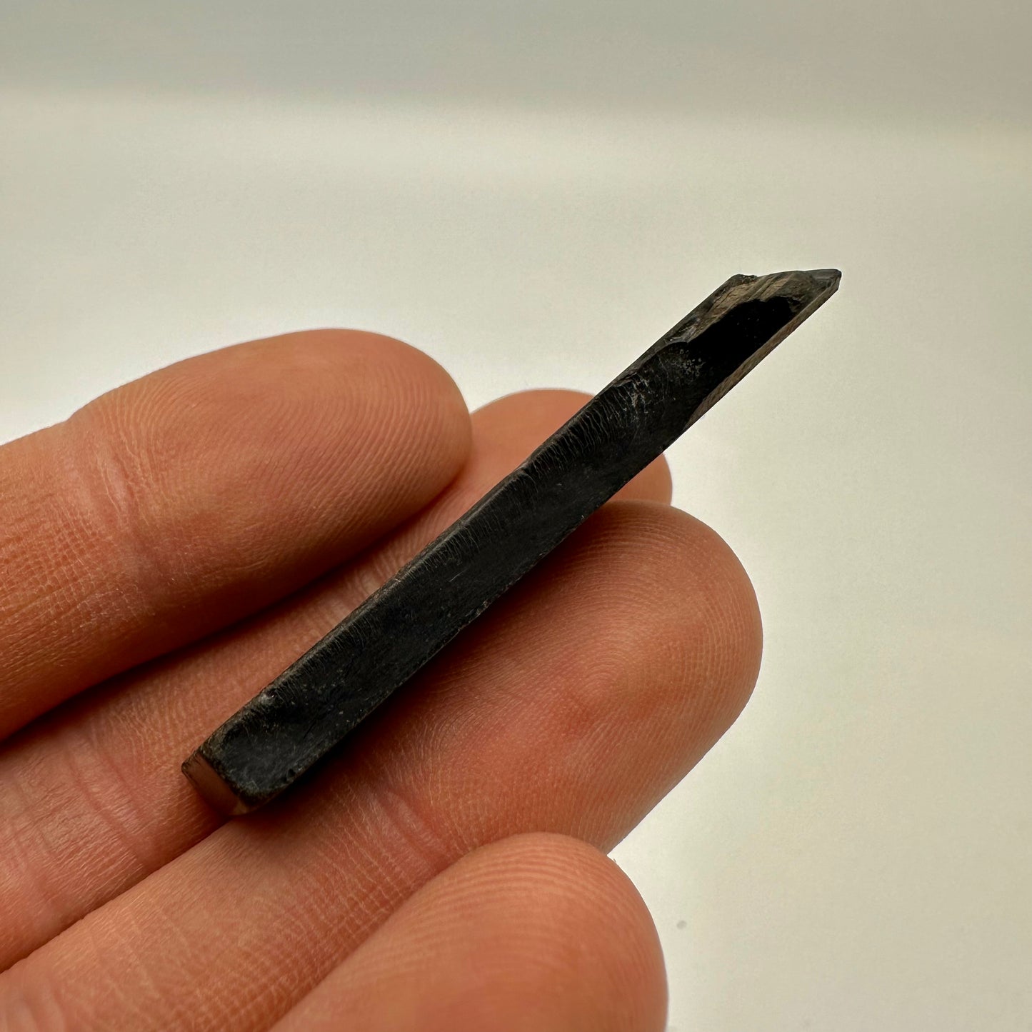 Whitby Jet Specimen (Fossil Wood) - Whitby, North Yorkshire, Jurassic Coast Yorkshire Fossils