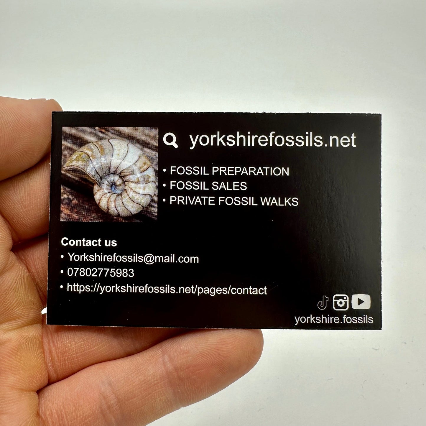 Real ammonite fossil gift – authentic Yorkshire Coast Jurassic fossil