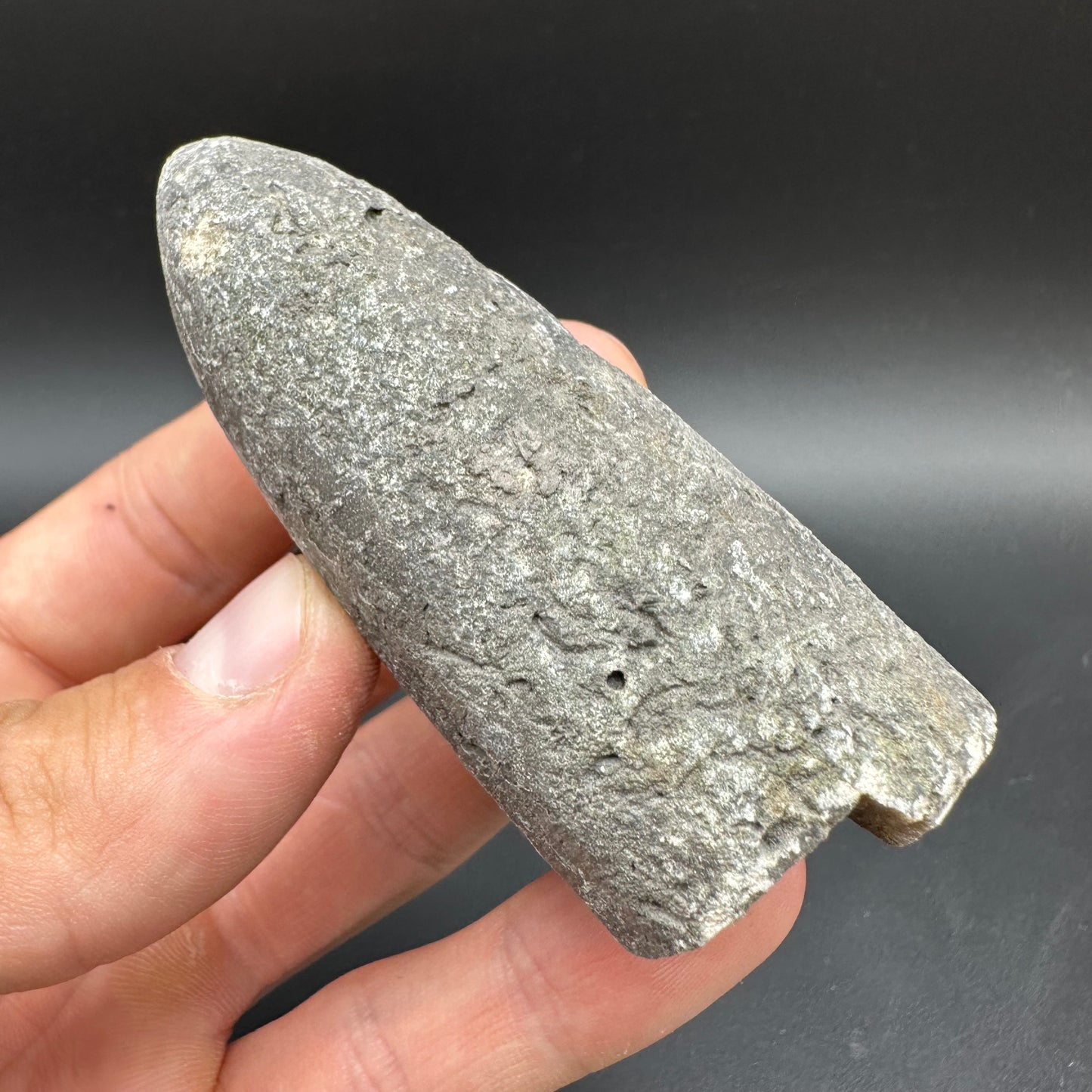 Belemnite (Fossil Squid) shell fossil - Whitby, North Yorkshire Jurassic Coast Yorkshire Fossils