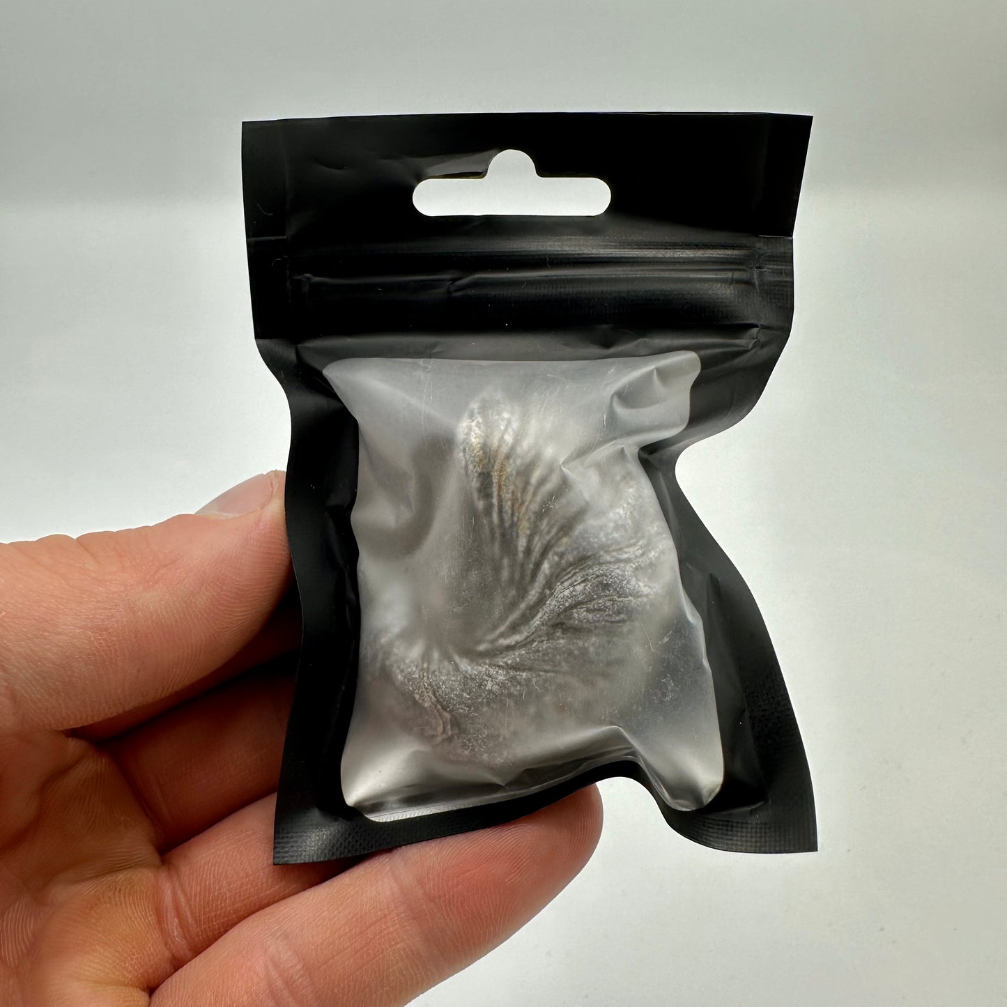 Gryphaea shell fossil - Whitby, North Yorkshire