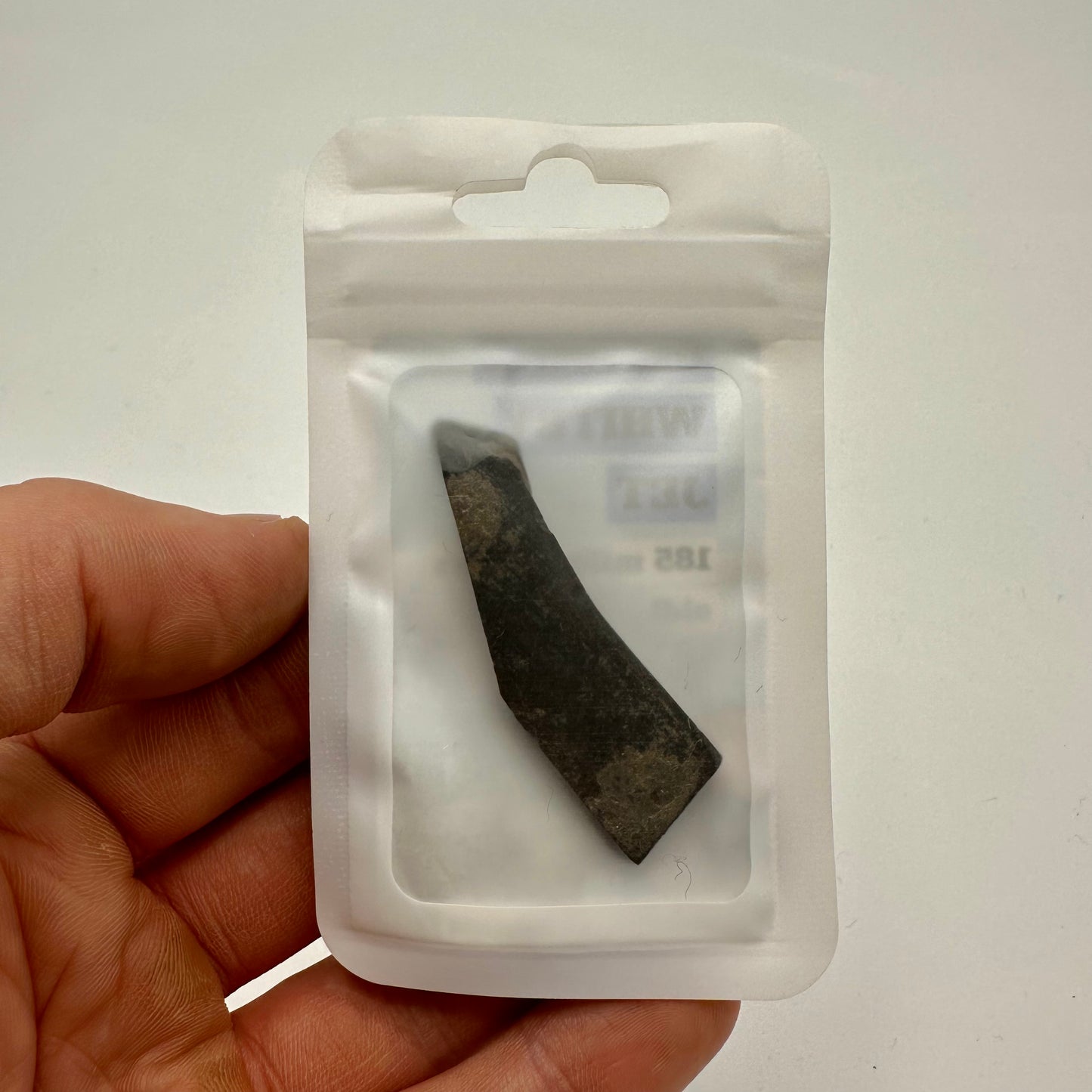 Whitby Jet Specimen (Fossil Wood) - Whitby, North Yorkshire, Jurassic Coast Yorkshire Fossils