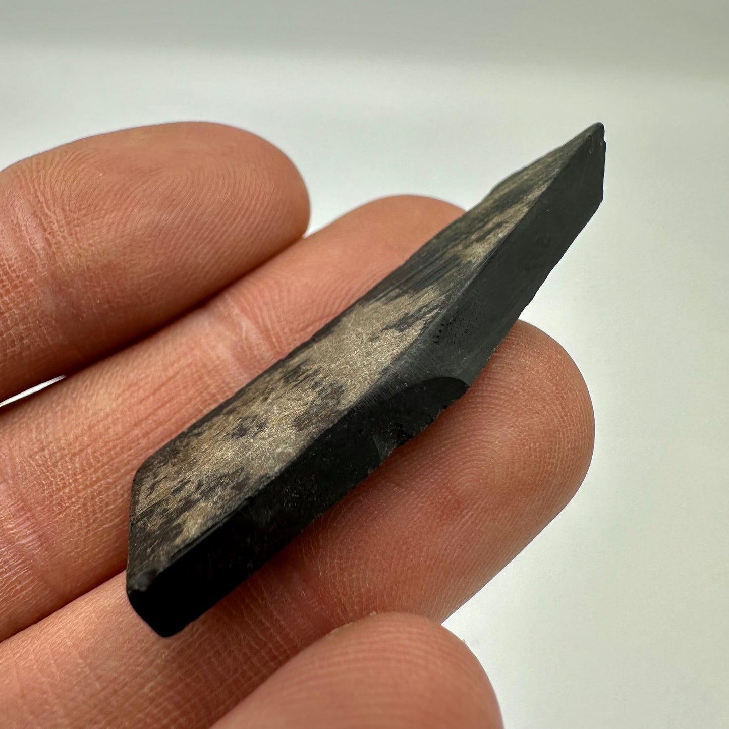 Whitby Jet Specimen (Fossil Wood) - Whitby, North Yorkshire, Jurassic Coast Yorkshire Fossils