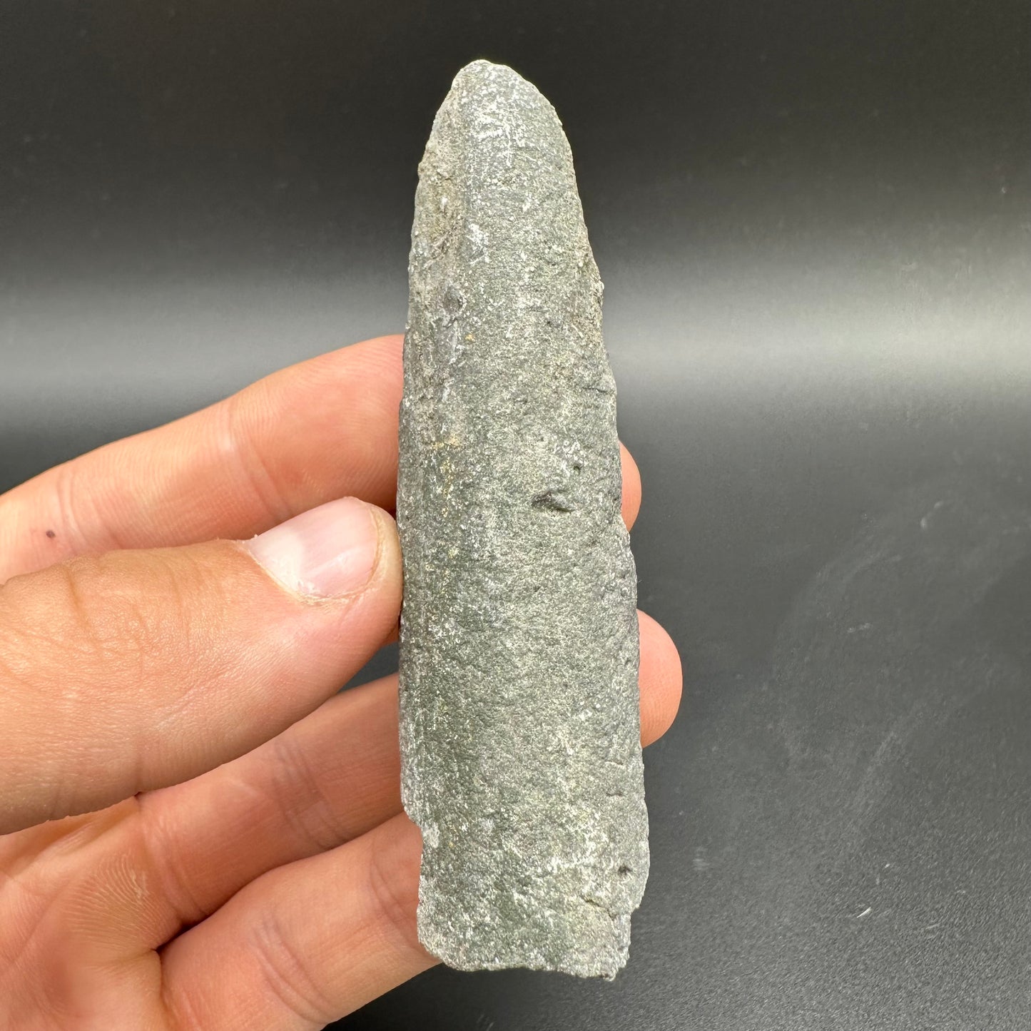 Belemnite (Fossil Squid) shell fossil - Whitby, North Yorkshire Jurassic Coast Yorkshire Fossils