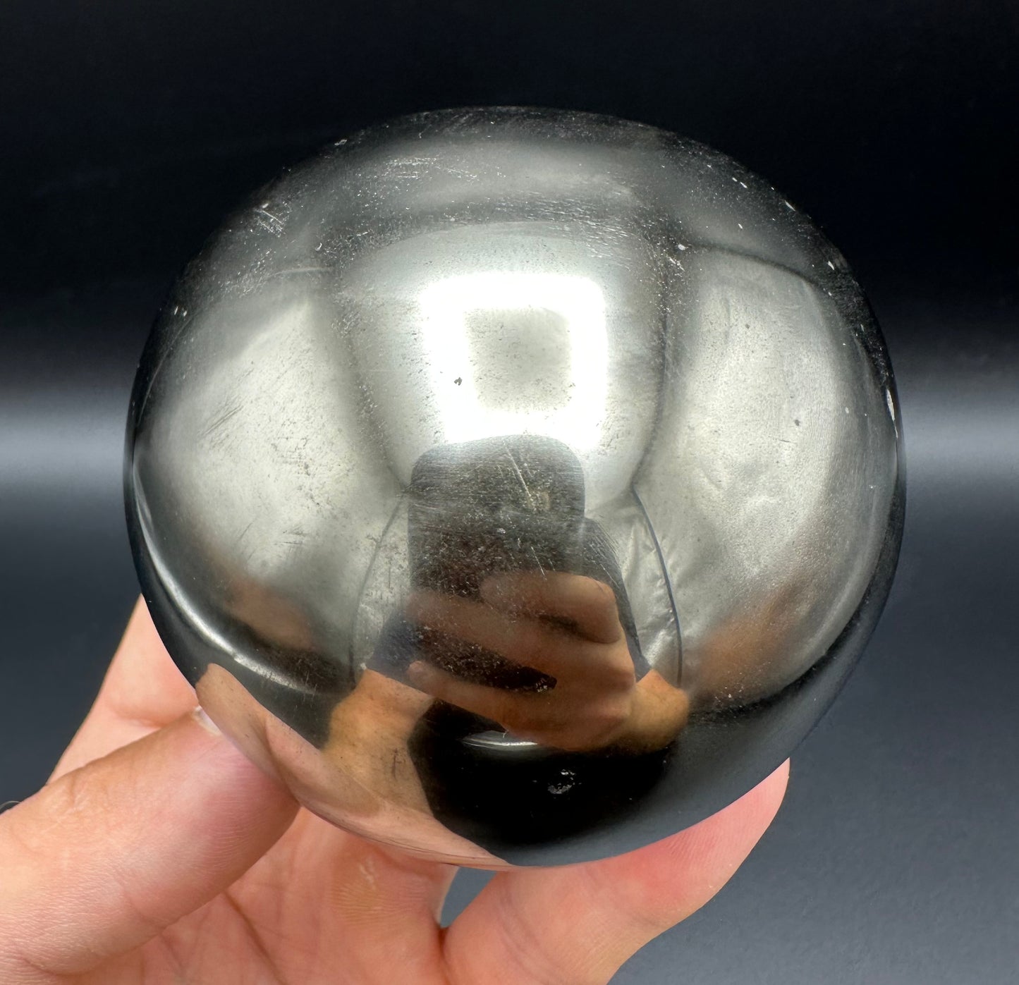 Golden Egg (GENUINE) Ammonite Fossil With Stand - Whitby, North Yorkshire Jurassic Coast Yorkshire Fossils