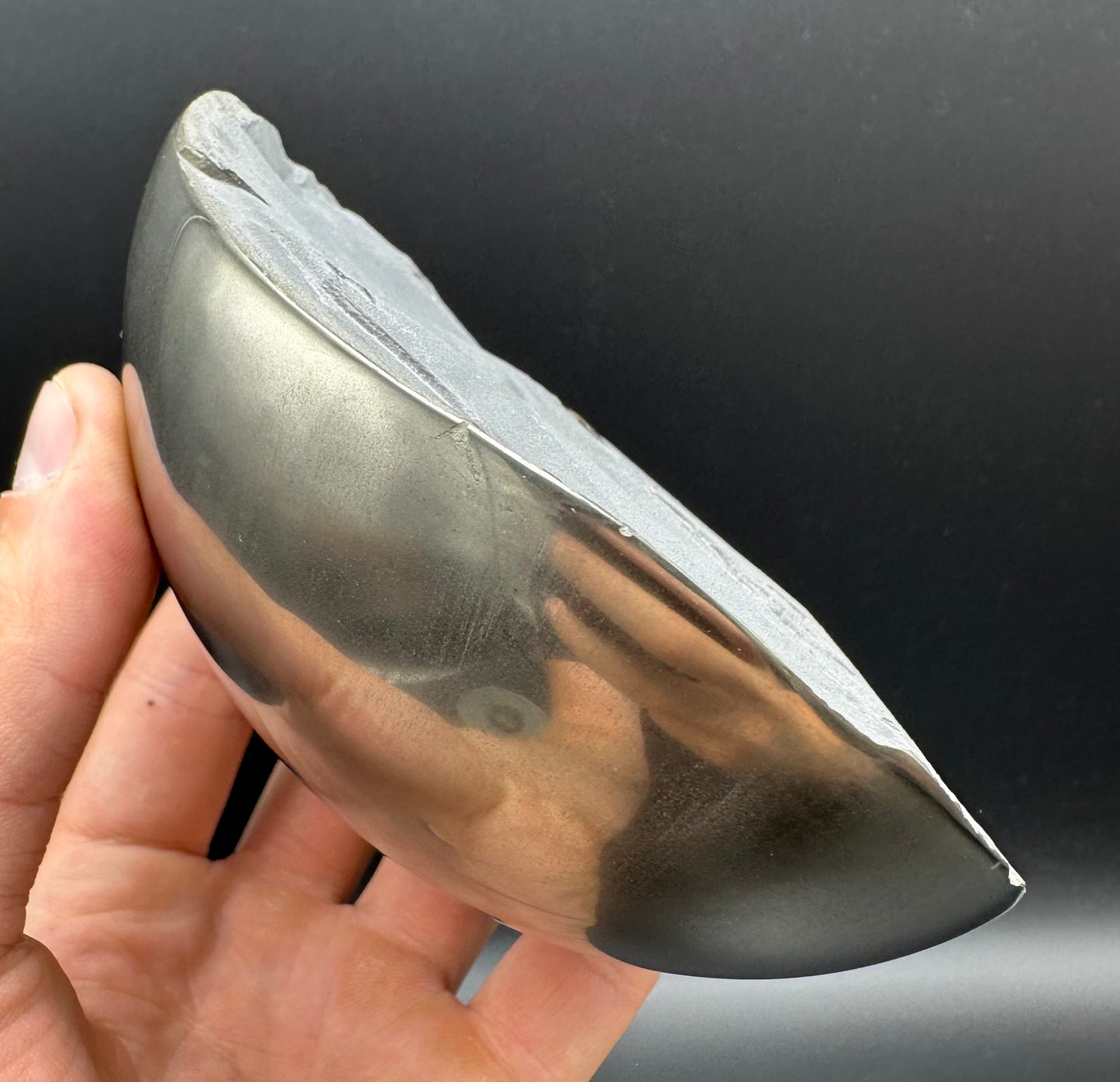 Golden Egg (IMPLANT) Ichthyosaur Vertebra fossil with stand - Whitby, North Yorkshire Jurassic Coast