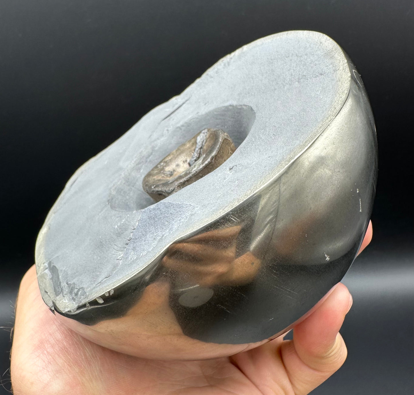 Golden Egg (IMPLANT) Ichthyosaur Vertebra fossil with stand - Whitby, North Yorkshire Jurassic Coast