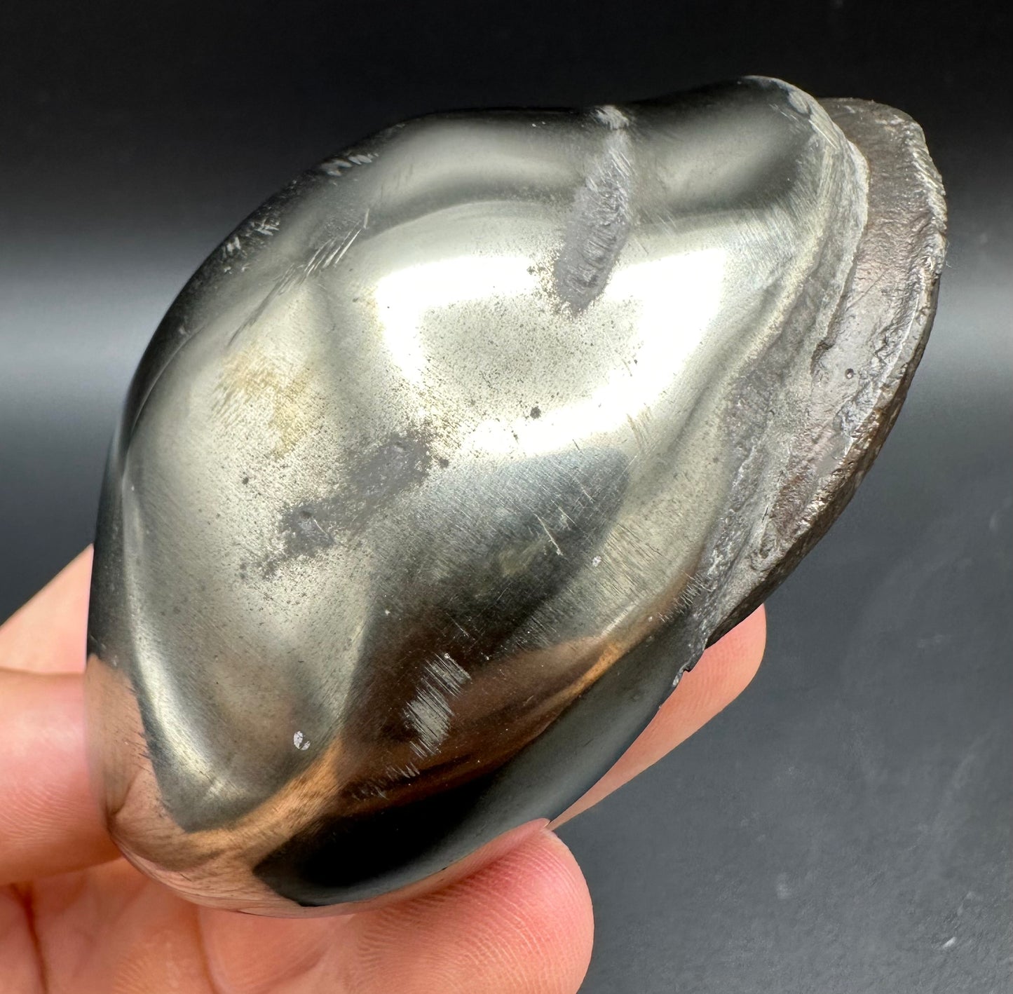 Golden Egg (GENUINE) Ammonite Fossil With Stand - Whitby, North Yorkshire Jurassic Coast Yorkshire Fossils
