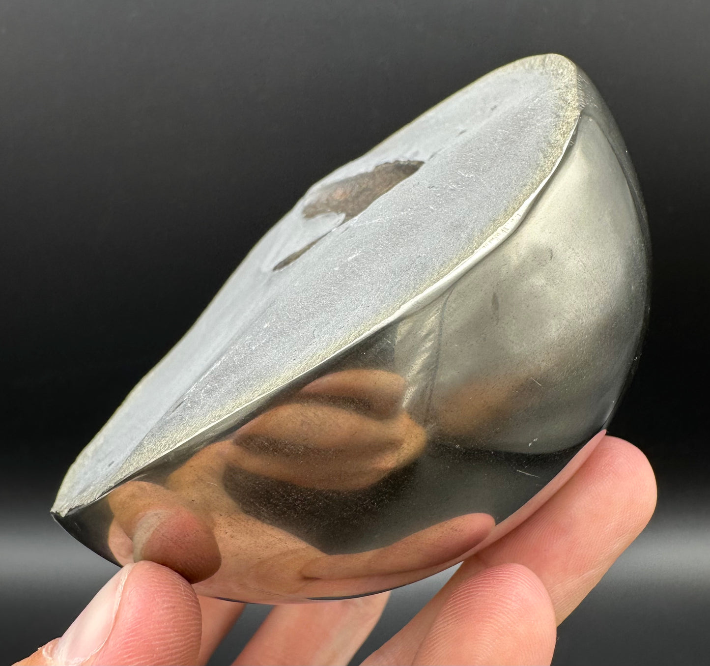 Golden Egg (GENUINE) Ammonite Fossil With Stand - Whitby, North Yorkshire Jurassic Coast Yorkshire Fossils