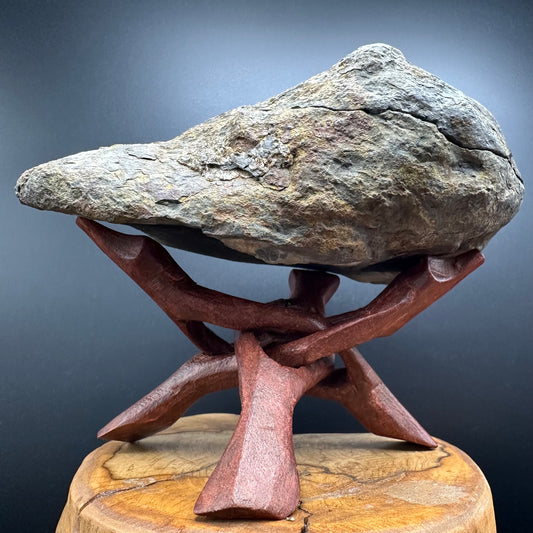 Dactylioceras Ammonite nodule (split pair) Fossil With Stand - Whitby, North Yorkshire Jurassic Coast Yorkshire Fossils