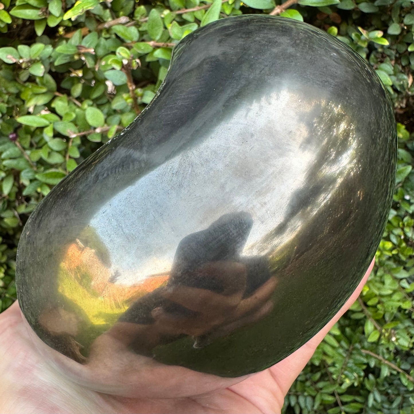Golden Egg (GENUINE) Ammonite Fossil With Stand - Whitby, North Yorkshire Jurassic Coast Yorkshire Fossils