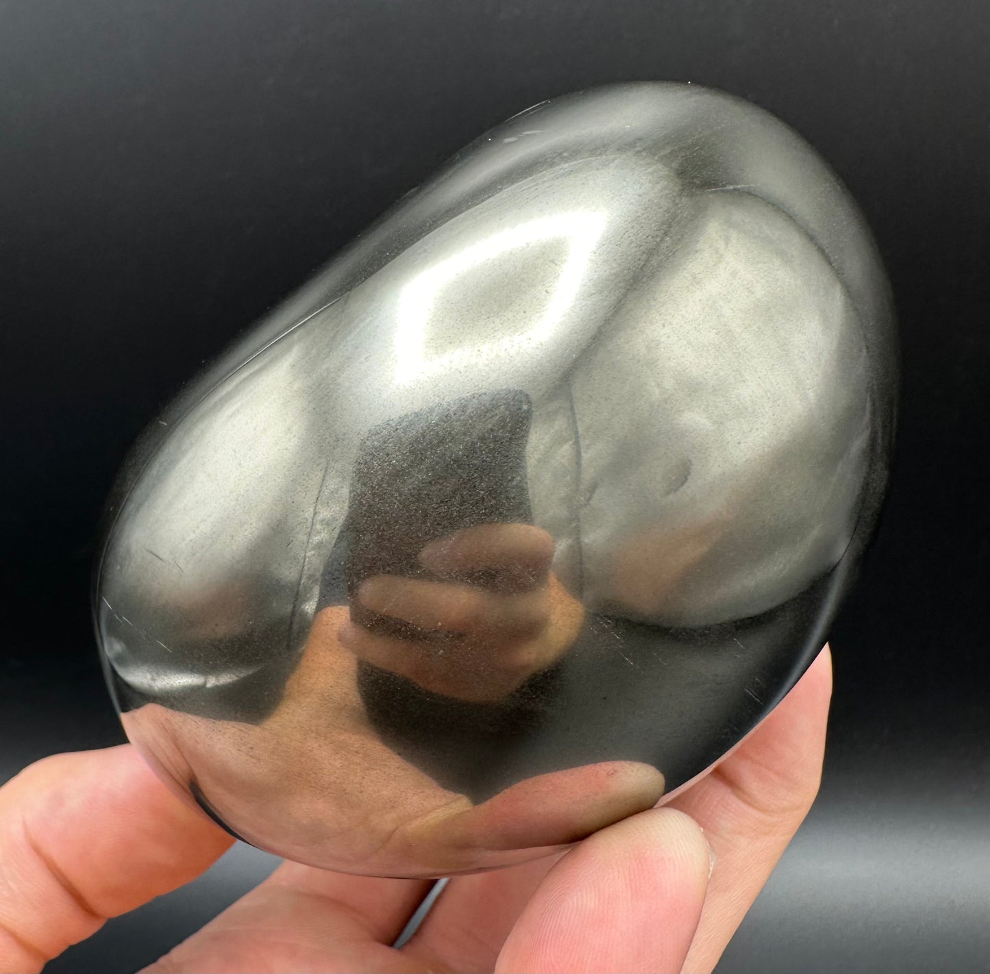 Golden Egg (GENUINE) Ammonite Fossil With Stand - Whitby, North Yorkshire Jurassic Coast Yorkshire Fossils