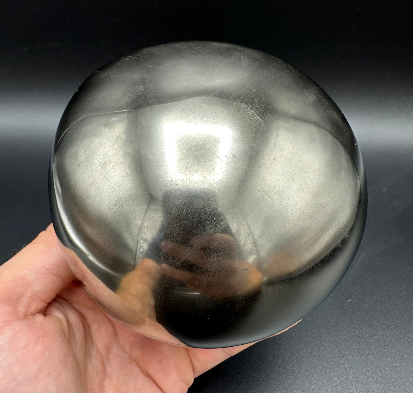 Golden Egg (GENUINE) Ammonite Fossil With Stand - Whitby, North Yorkshire Jurassic Coast Yorkshire Fossils