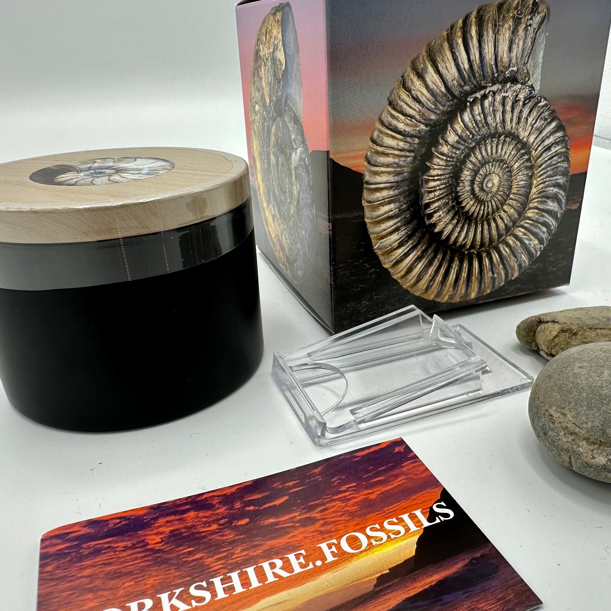 Fossil Box Set Yorkshire Fossils Box Bundle - Ammonite shell fossil Jurassic Coast, N ...