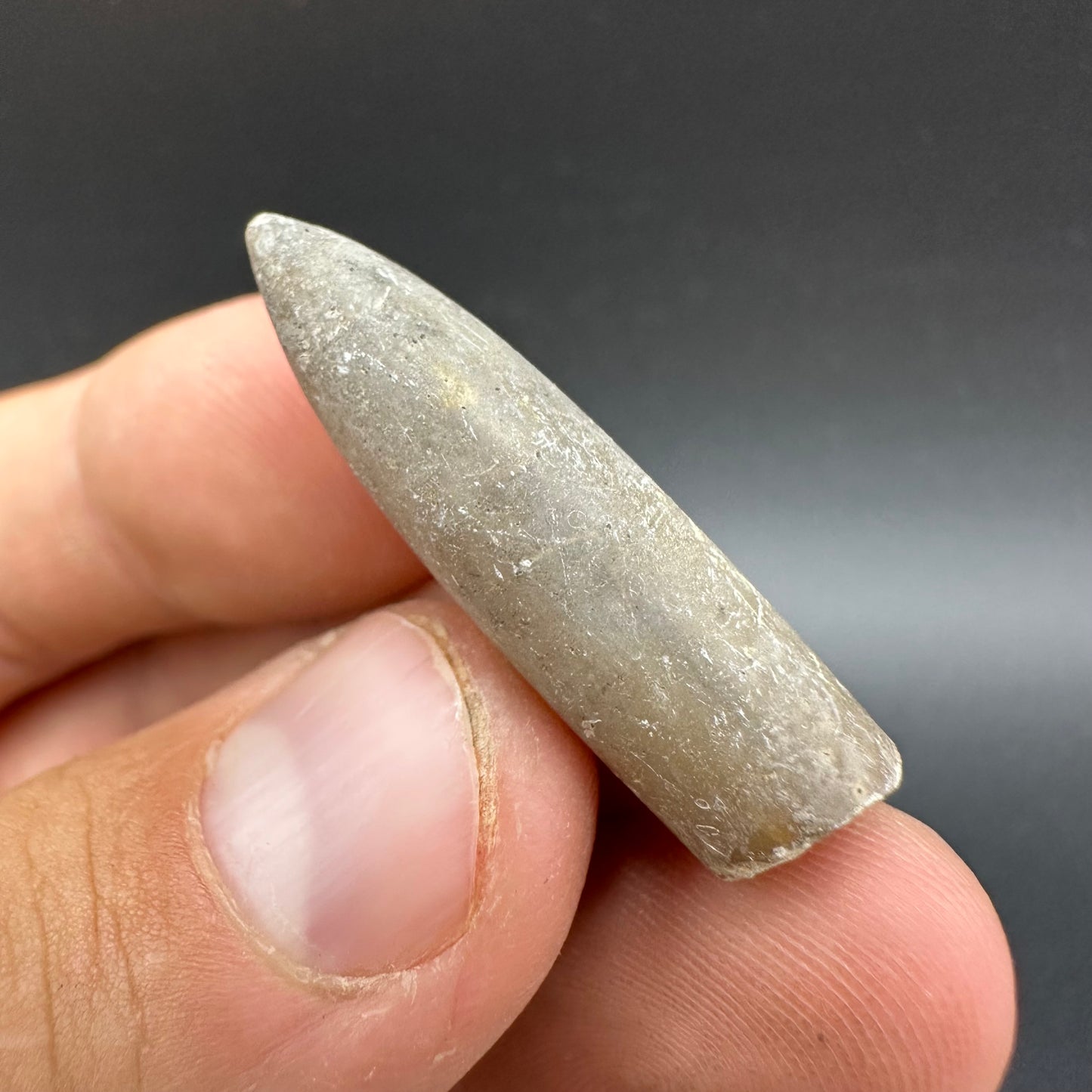 Belemnite (Fossil Squid) shell fossil - Whitby, North Yorkshire Jurassic Coast Yorkshire Fossils