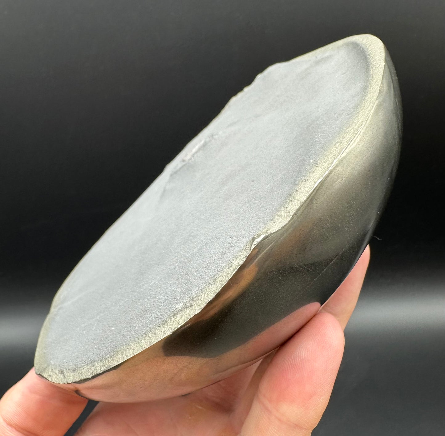 Golden Egg (GENUINE) Ammonite Fossil With Stand - Whitby, North Yorkshire Jurassic Coast Yorkshire Fossils