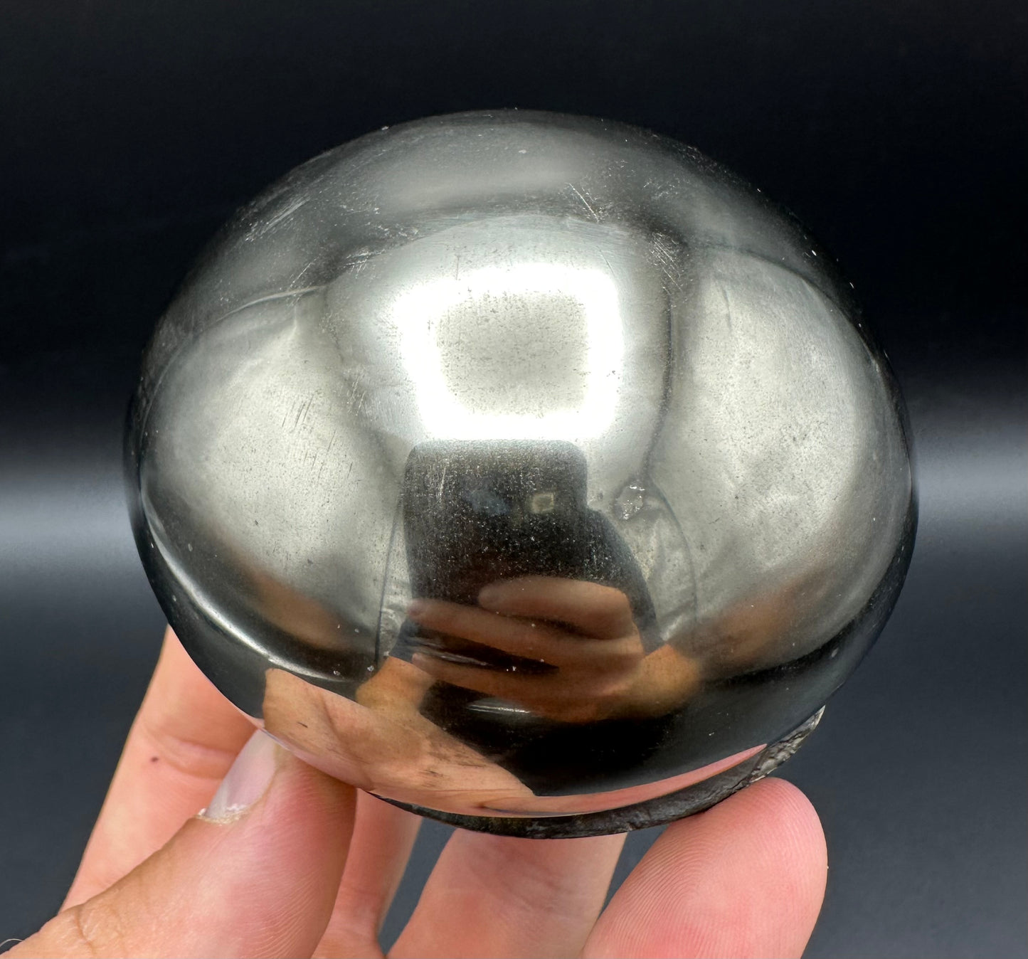 Golden Egg (GENUINE) Ammonite Fossil With Stand - Whitby, North Yorkshire Jurassic Coast Yorkshire Fossils