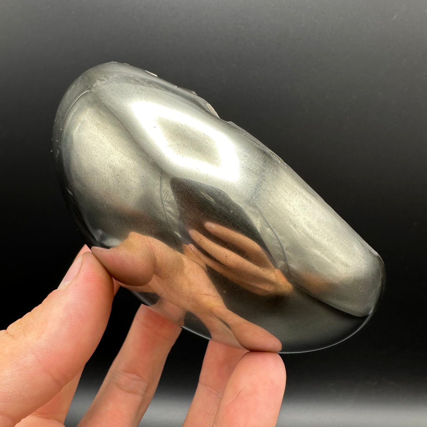 Golden Egg (GENUINE) Ammonite Fossil With Stand - Whitby, North Yorkshire Jurassic Coast Yorkshire Fossils