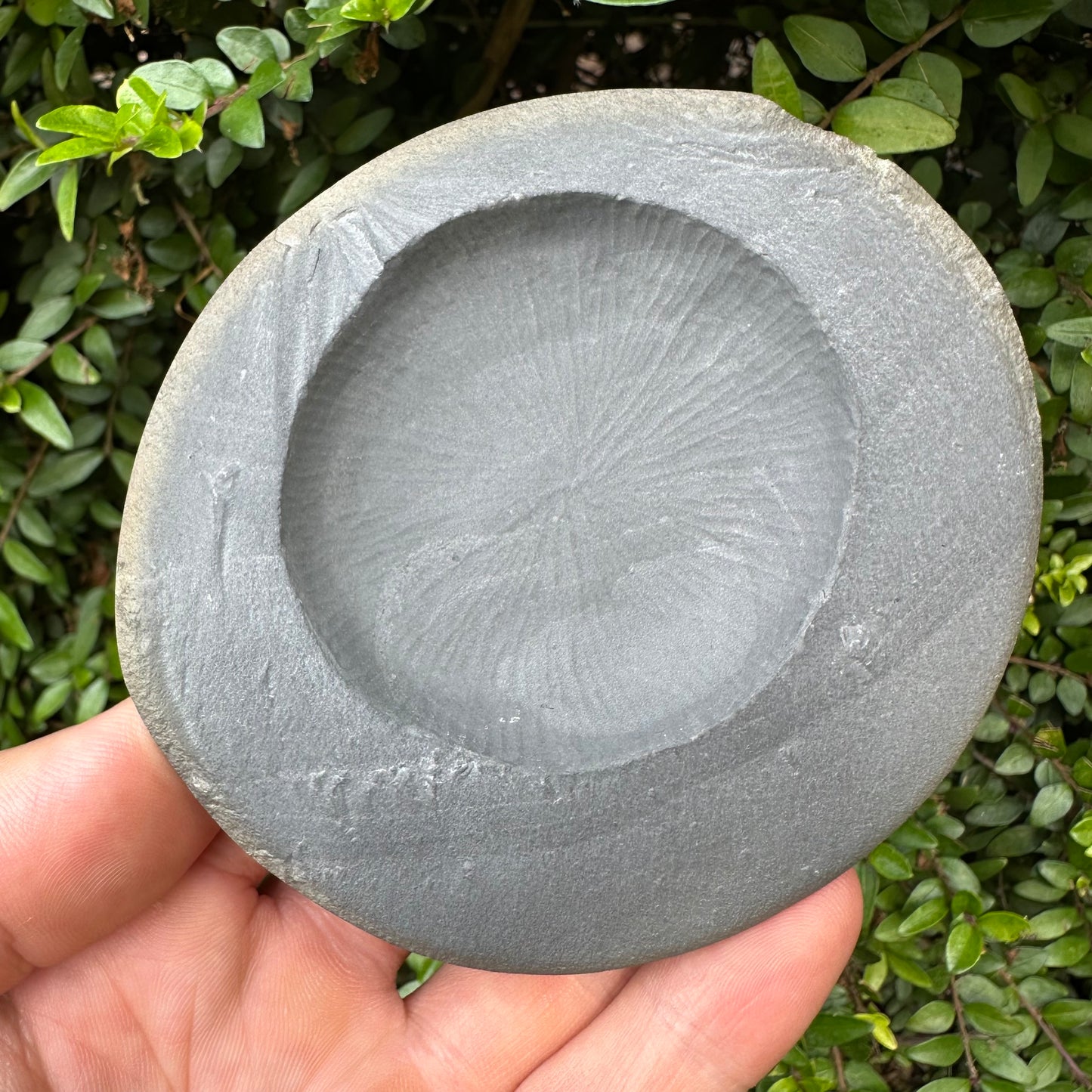 Golden Egg (IMPLANT) Ammonite fossil with stand - Whitby, North Yorkshire Jurassic Coast