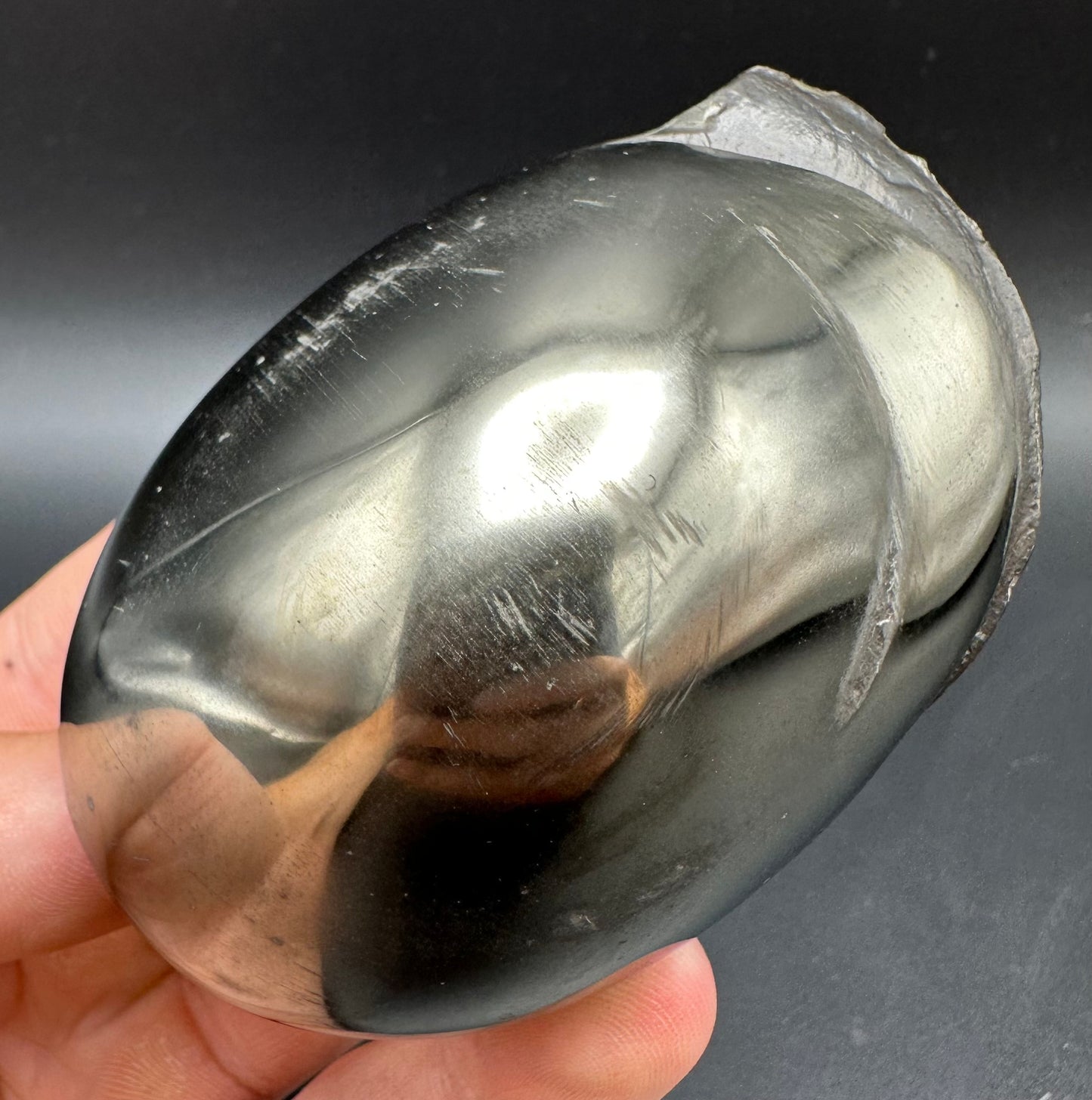 Golden Egg (GENUINE) Ammonite Fossil With Stand - Whitby, North Yorkshire Jurassic Coast Yorkshire Fossils