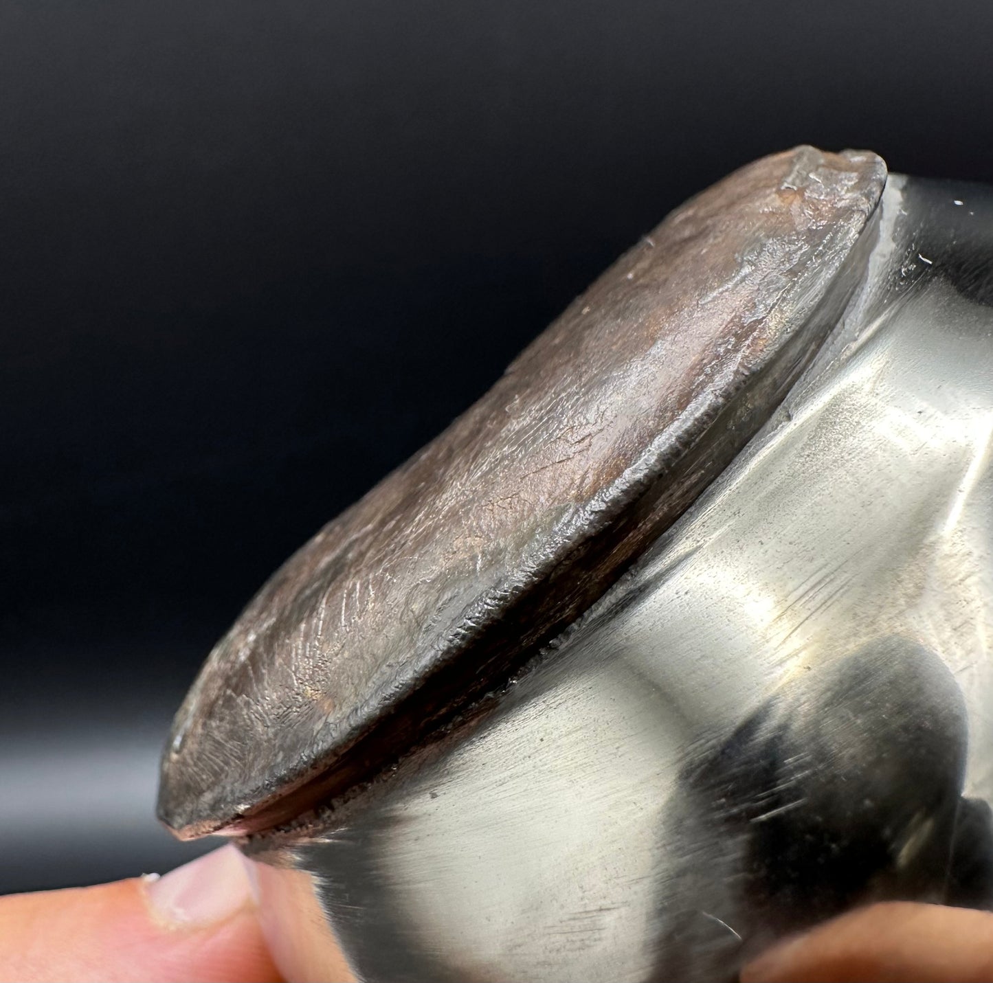 Golden Egg (GENUINE) Ammonite Fossil With Stand - Whitby, North Yorkshire Jurassic Coast Yorkshire Fossils