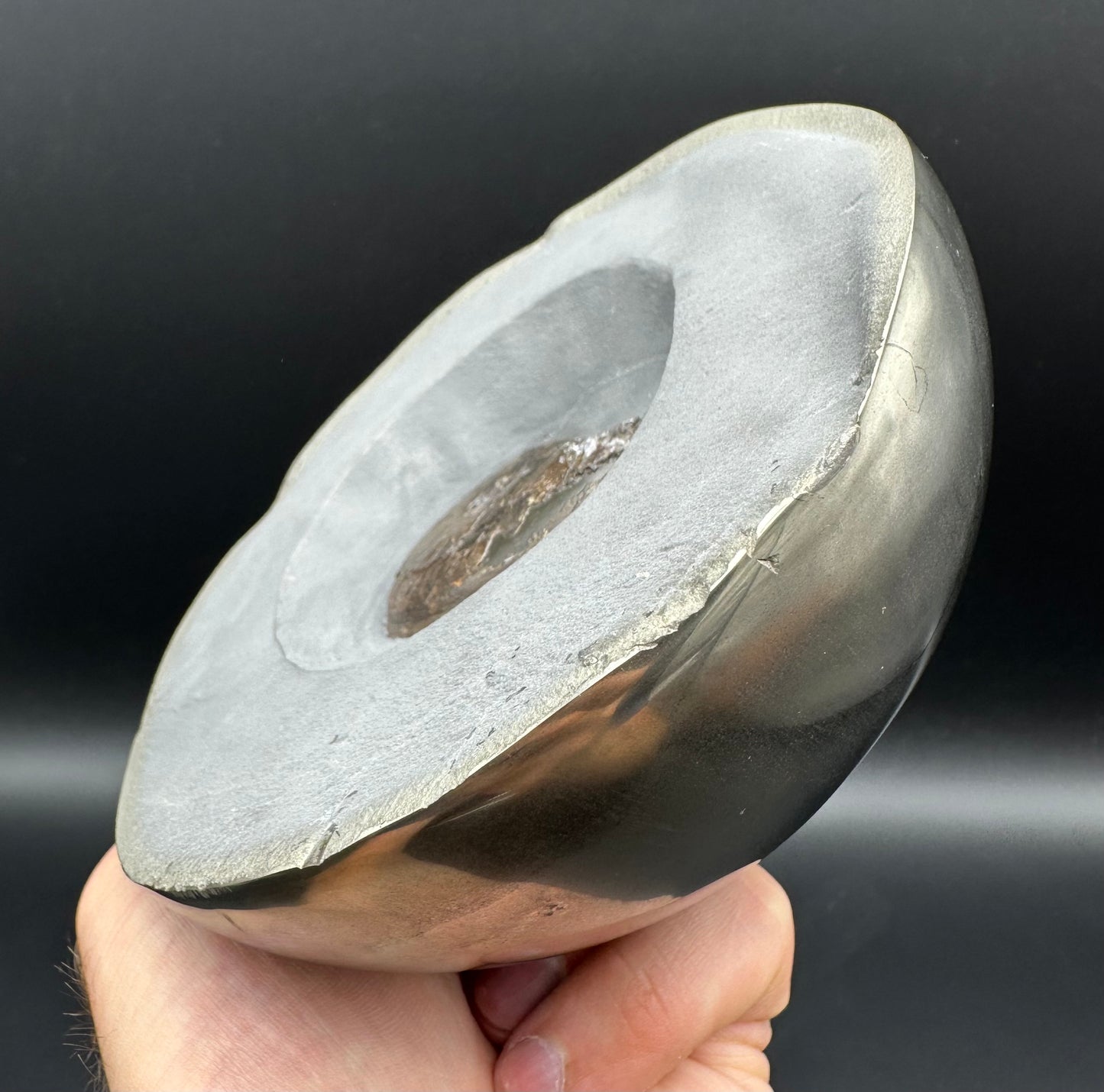 Golden Egg (GENUINE) Ammonite Fossil With Stand - Whitby, North Yorkshire Jurassic Coast Yorkshire Fossils