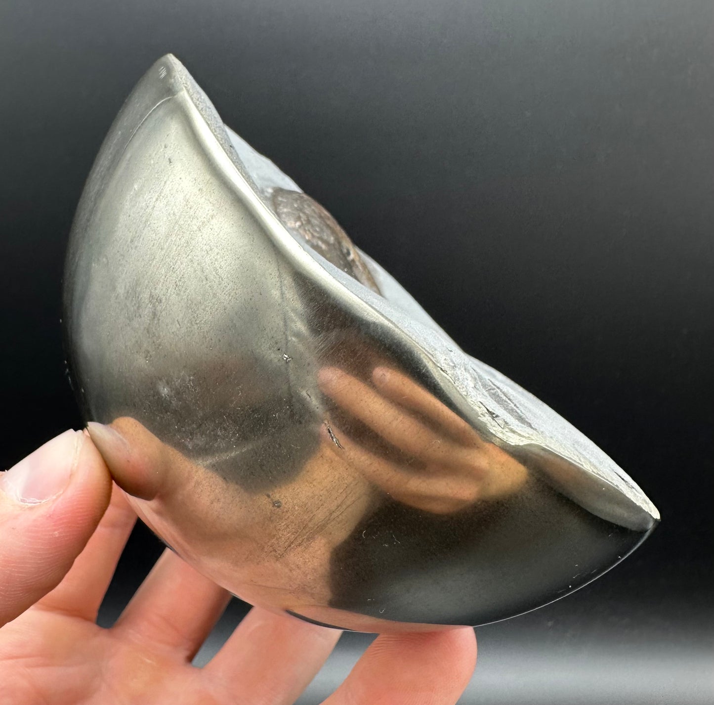 Golden Egg (GENUINE) Ammonite Fossil With Stand - Whitby, North Yorkshire Jurassic Coast Yorkshire Fossils