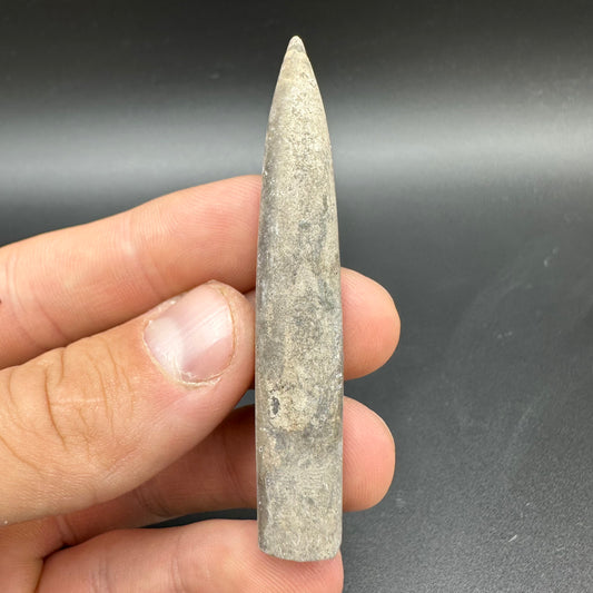 Belemnite (Fossil Squid) shell fossil - Whitby, North Yorkshire Jurassic Coast Yorkshire Fossils