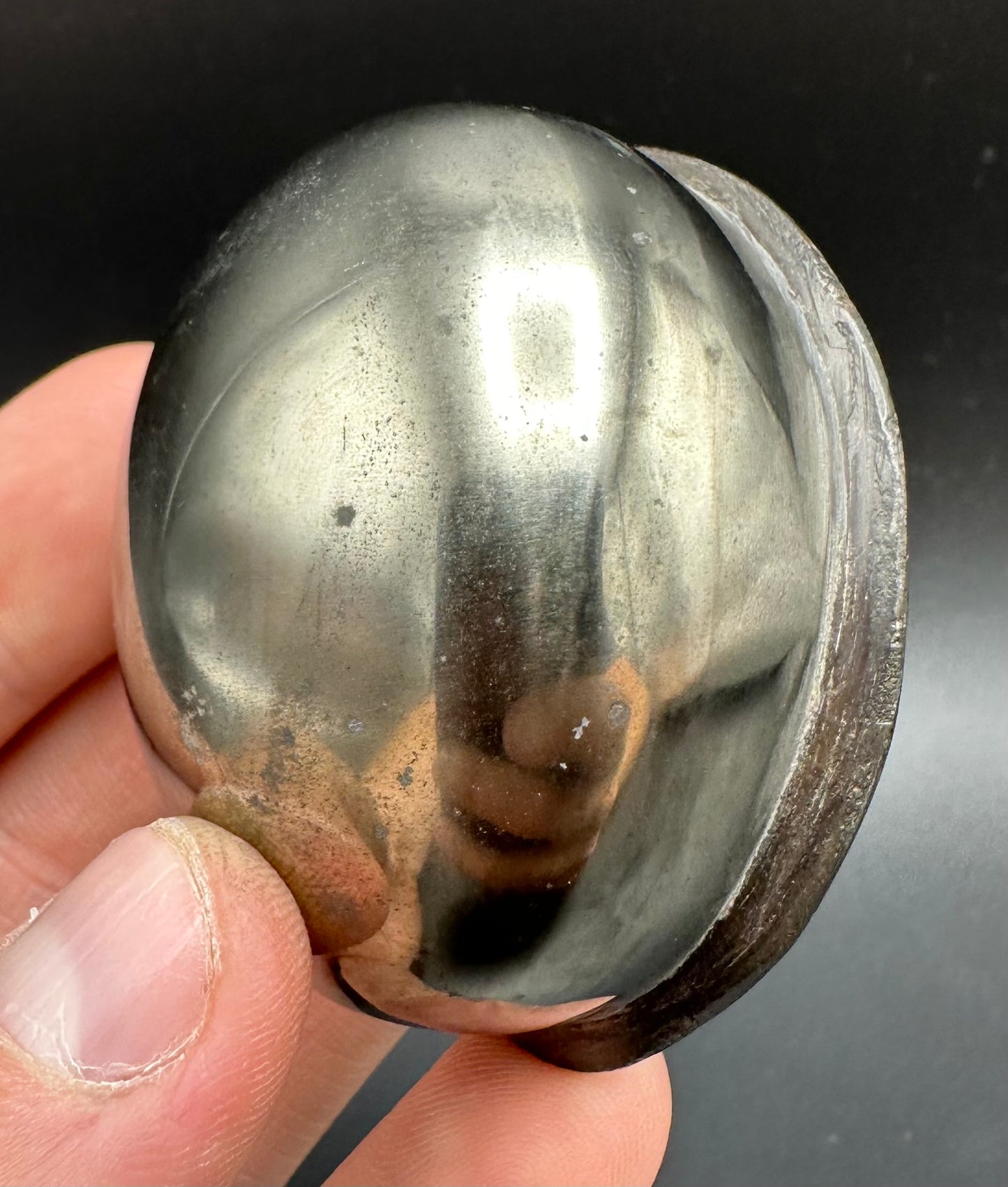 Golden Egg (GENUINE) Ammonite Fossil With Stand - Whitby, North Yorkshire Jurassic Coast Yorkshire Fossils