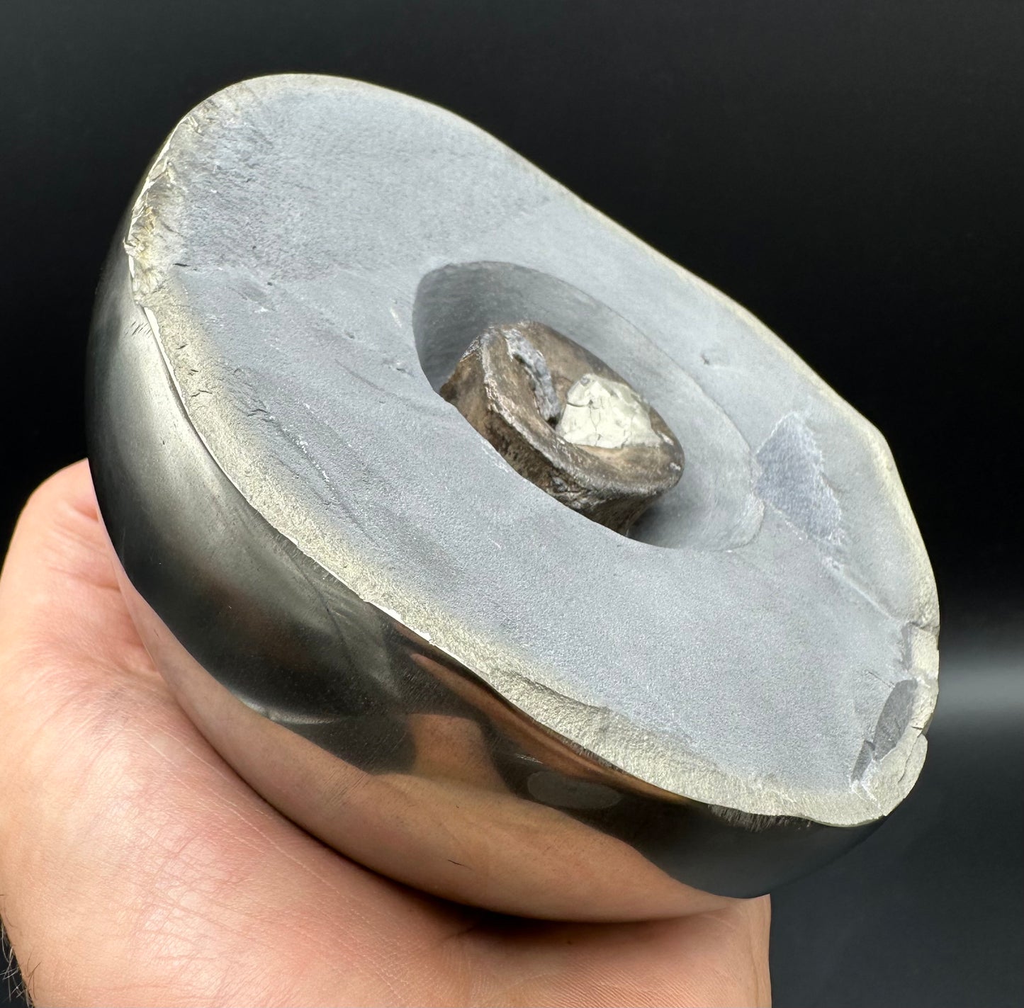 Golden Egg (IMPLANT) Ichthyosaur Vertebra fossil with stand - Whitby, North Yorkshire Jurassic Coast