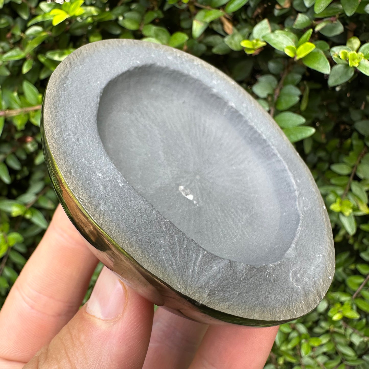 Golden Egg (IMPLANT) Ammonite fossil with stand - Whitby, North Yorkshire Jurassic Coast