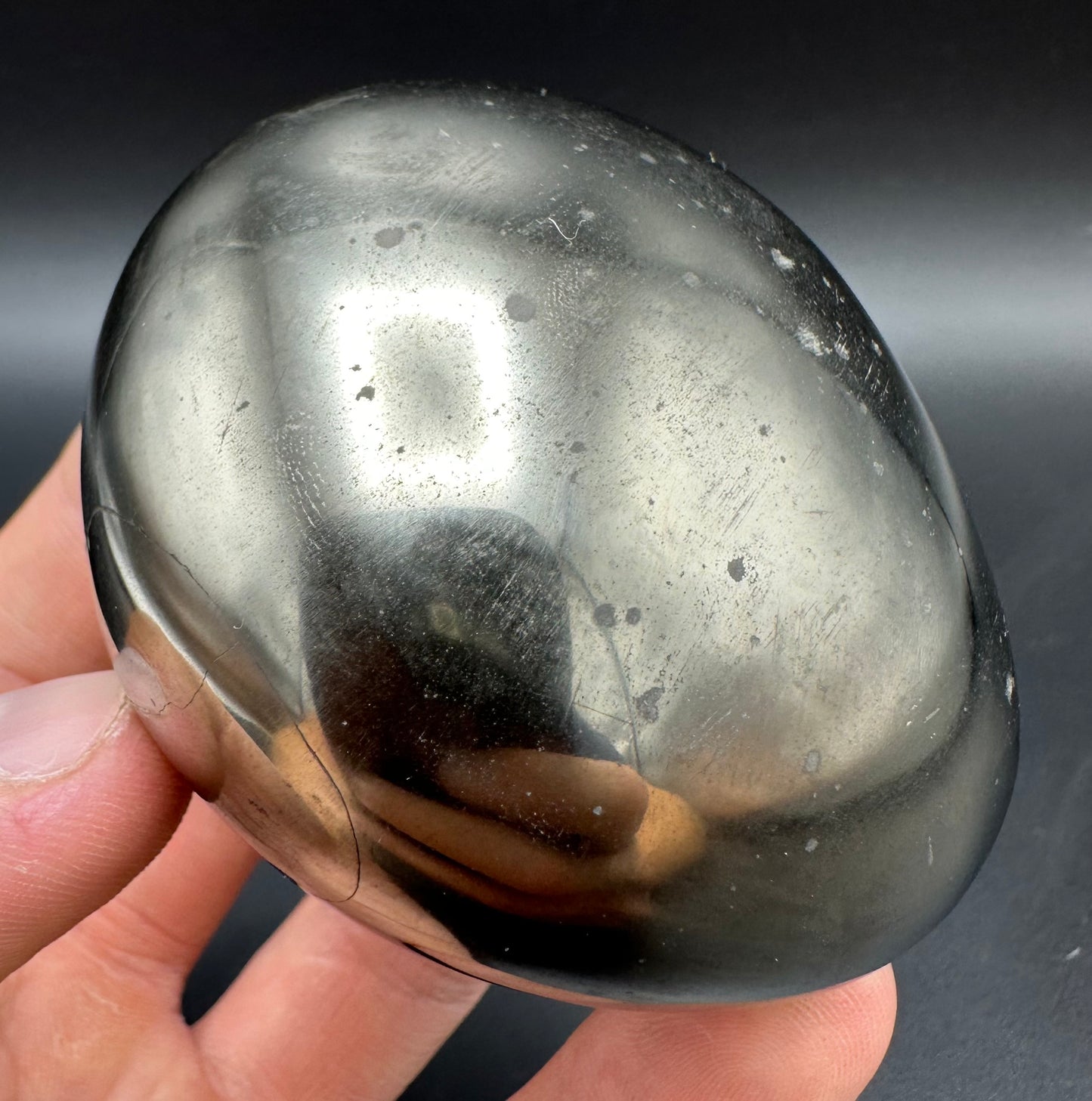 Golden Egg (GENUINE) Ammonite Fossil With Stand - Whitby, North Yorkshire Jurassic Coast Yorkshire Fossils