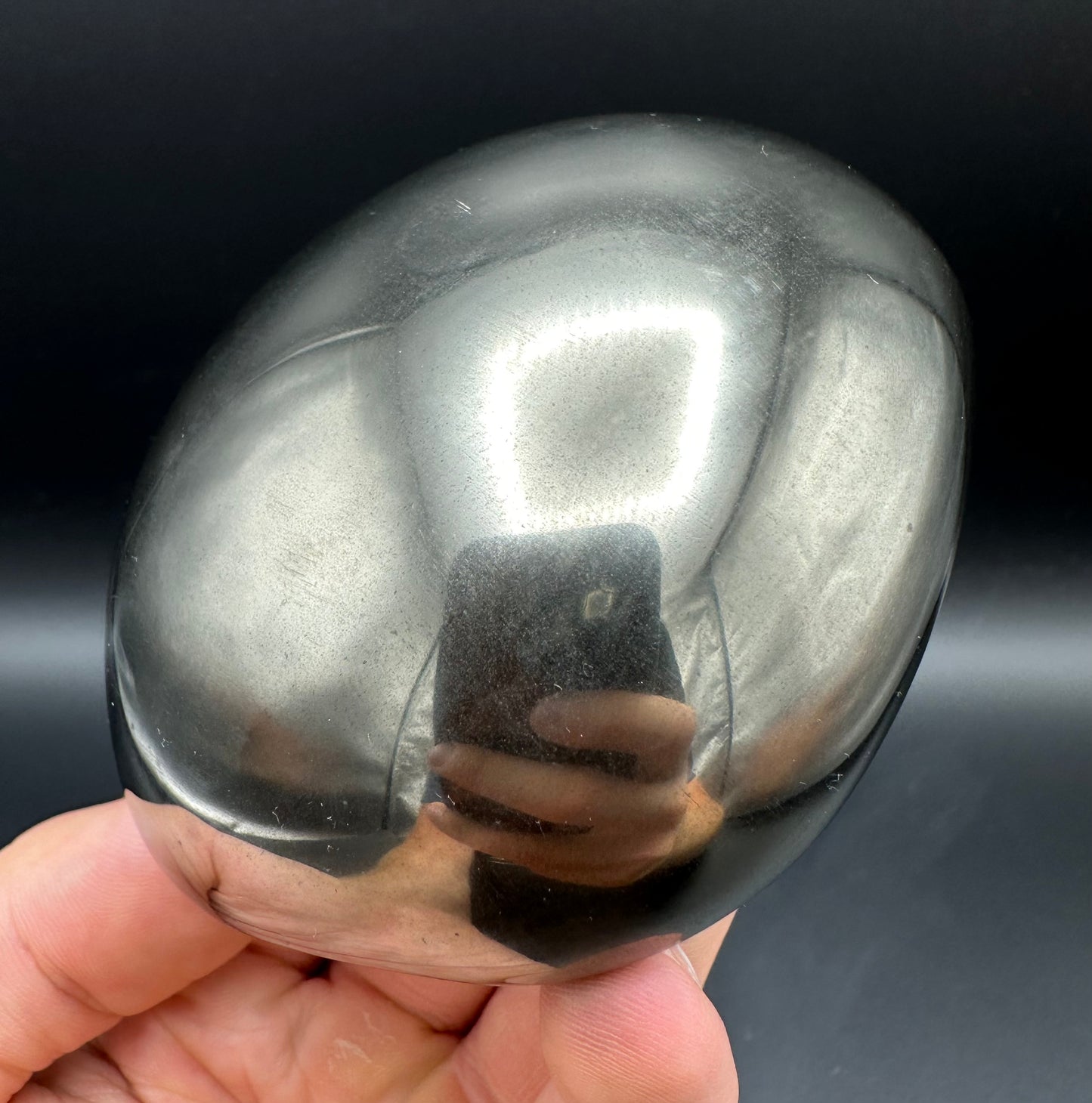 Golden Egg (GENUINE) Ammonite Fossil With Stand - Whitby, North Yorkshire Jurassic Coast Yorkshire Fossils