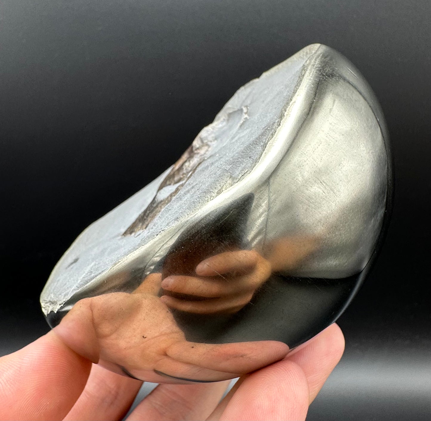 Golden Egg (GENUINE) Ammonite Fossil With Stand - Whitby, North Yorkshire Jurassic Coast Yorkshire Fossils