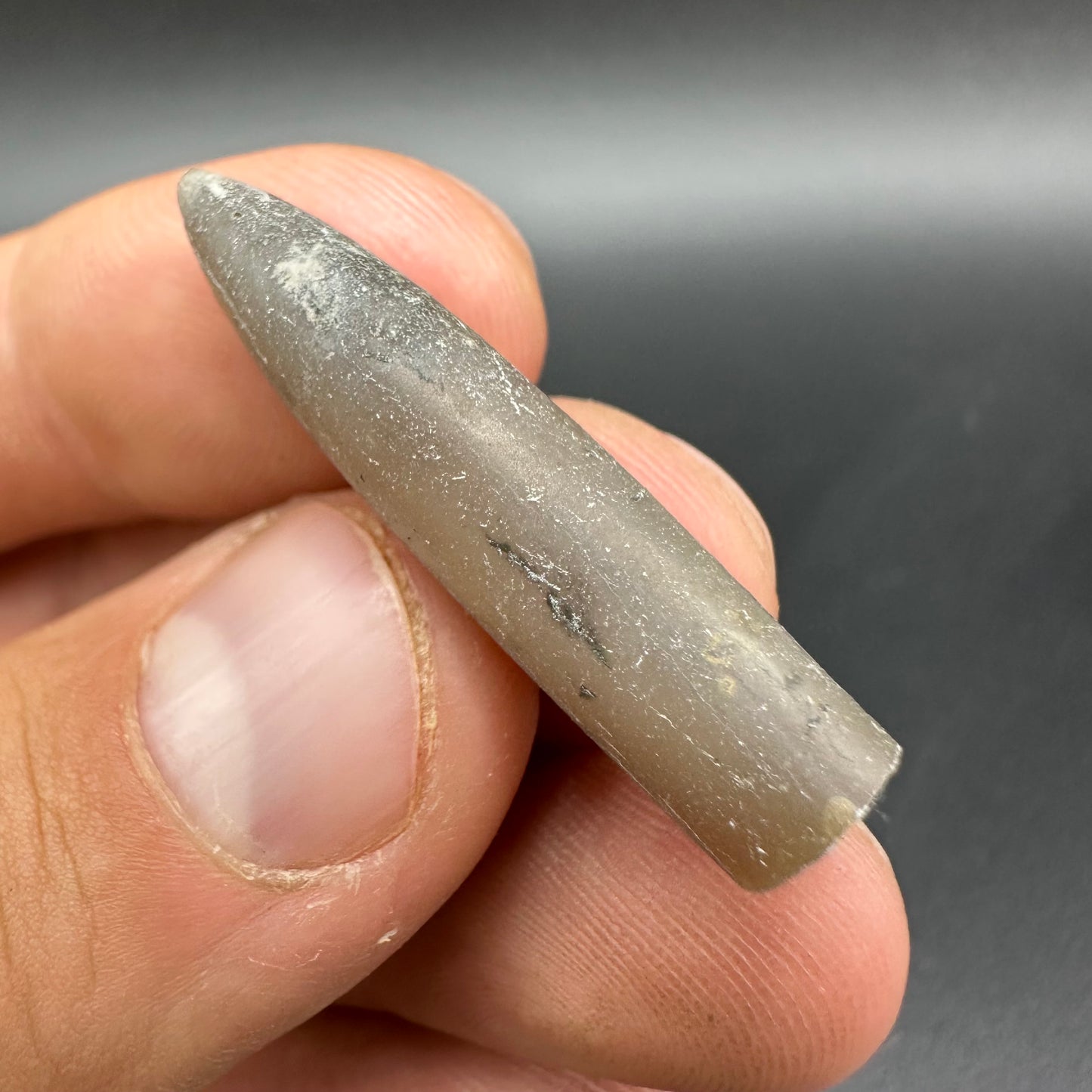 Belemnite (Fossil Squid) shell fossil - Whitby, North Yorkshire Jurassic Coast Yorkshire Fossils