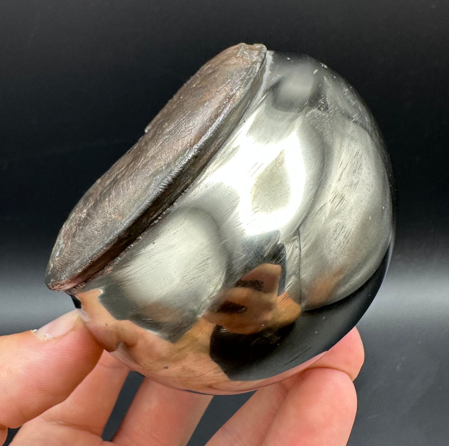 Golden Egg (GENUINE) Ammonite Fossil With Stand - Whitby, North Yorkshire Jurassic Coast Yorkshire Fossils