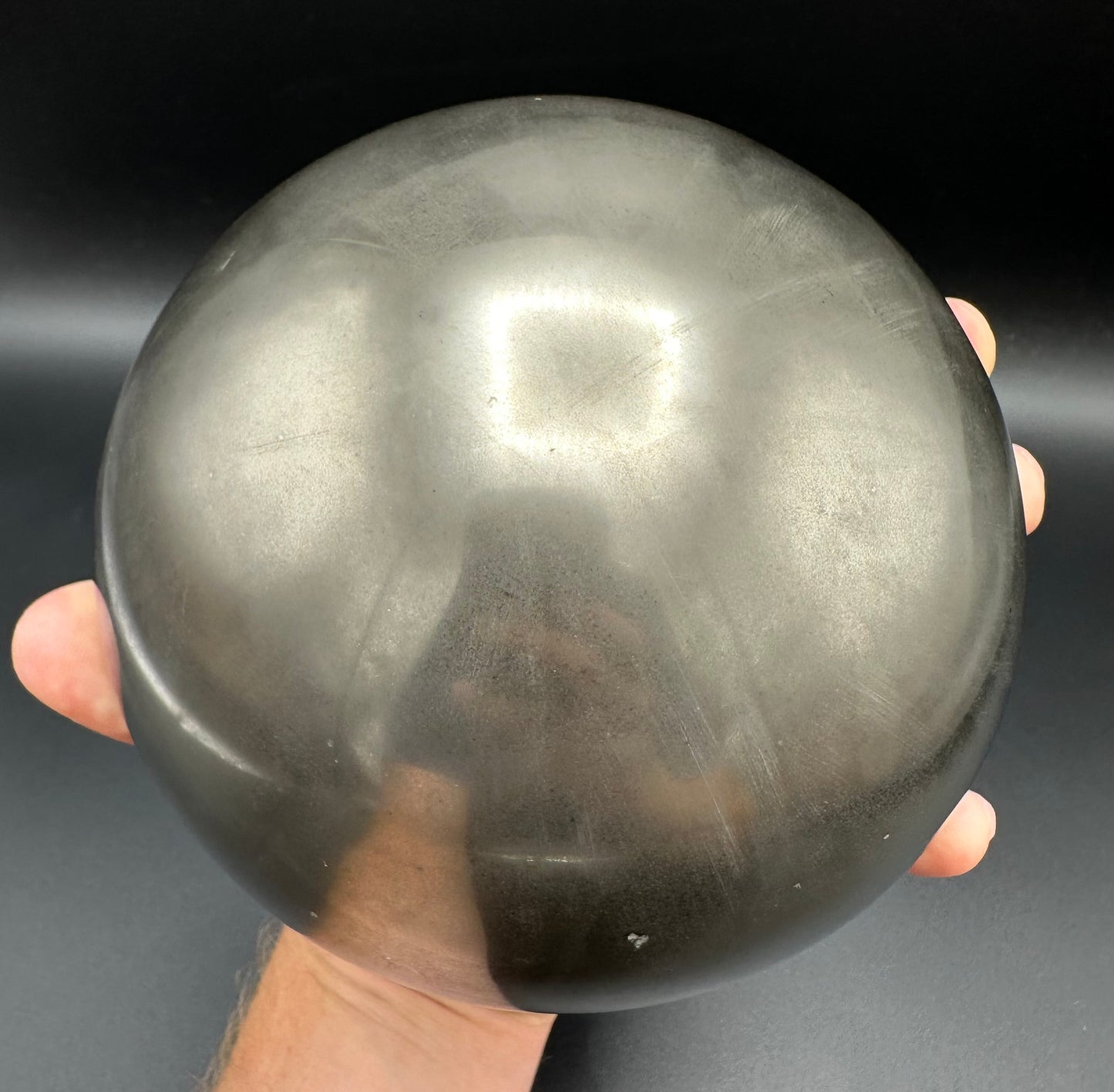 Golden Egg (GENUINE) Ammonite Fossil With Stand - Whitby, North Yorkshire Jurassic Coast Yorkshire Fossils