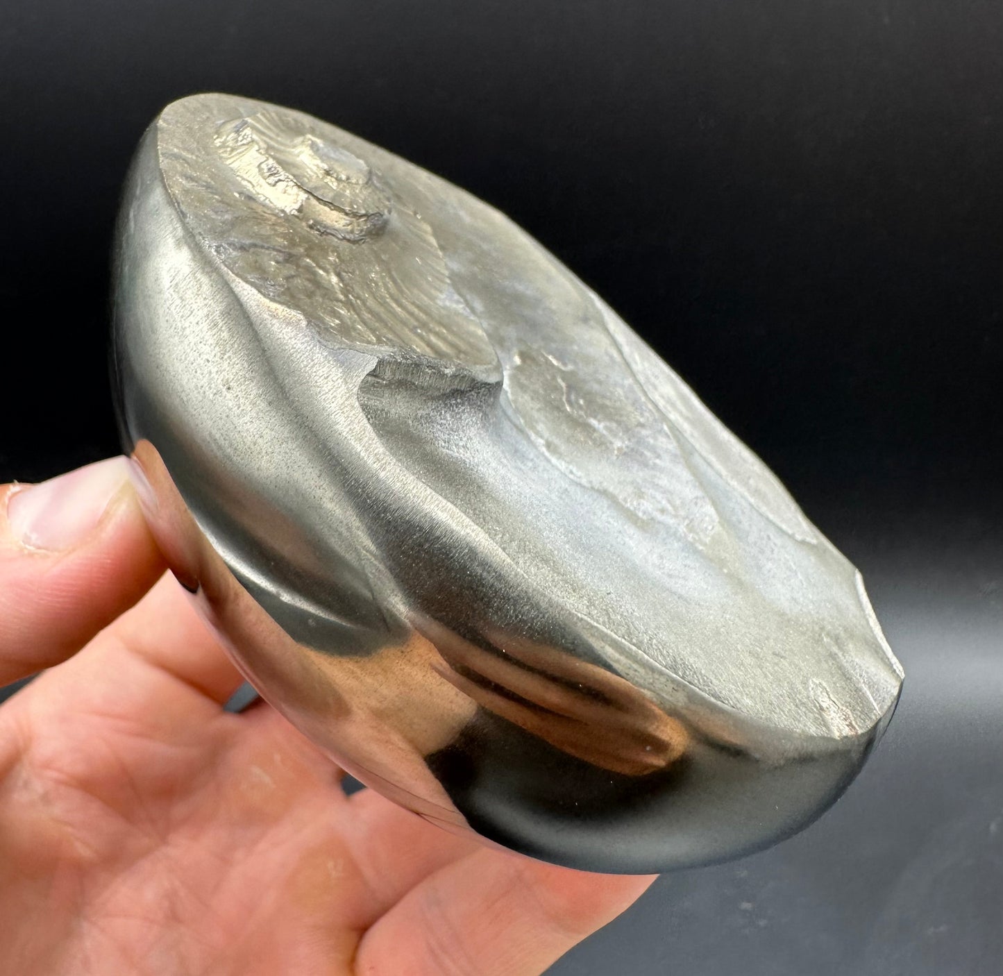 Golden Egg (GENUINE) Ammonite Fossil With Stand - Whitby, North Yorkshire Jurassic Coast Yorkshire Fossils