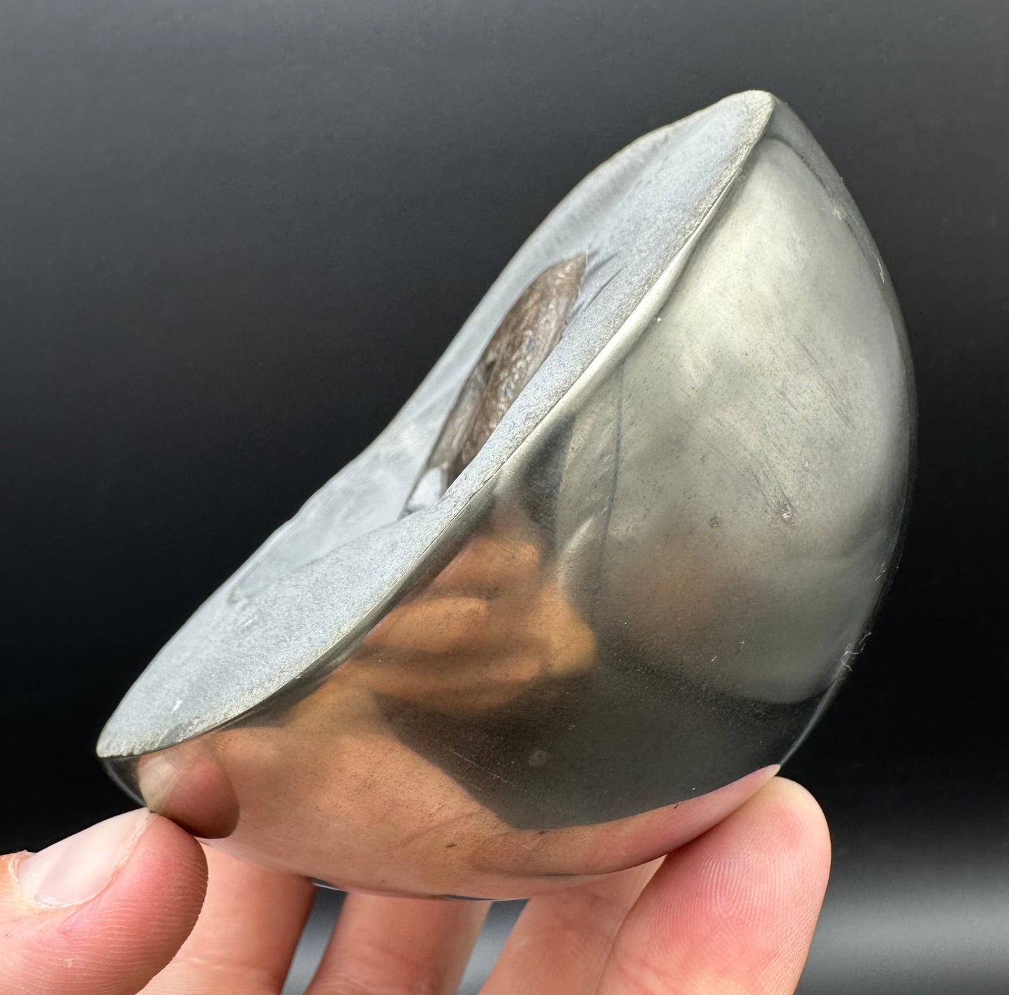 Golden Egg (GENUINE) Ammonite Fossil With Stand - Whitby, North Yorkshire Jurassic Coast Yorkshire Fossils