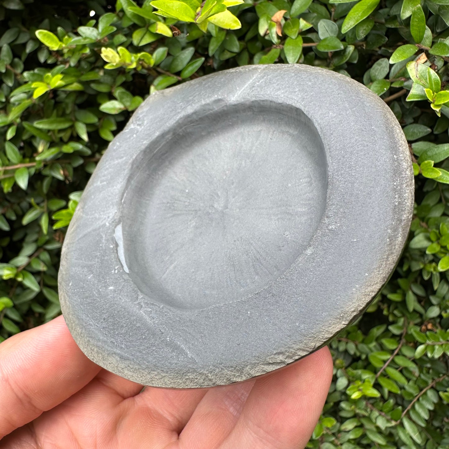 Golden Egg (IMPLANT) Ammonite fossil with stand - Whitby, North Yorkshire Jurassic Coast