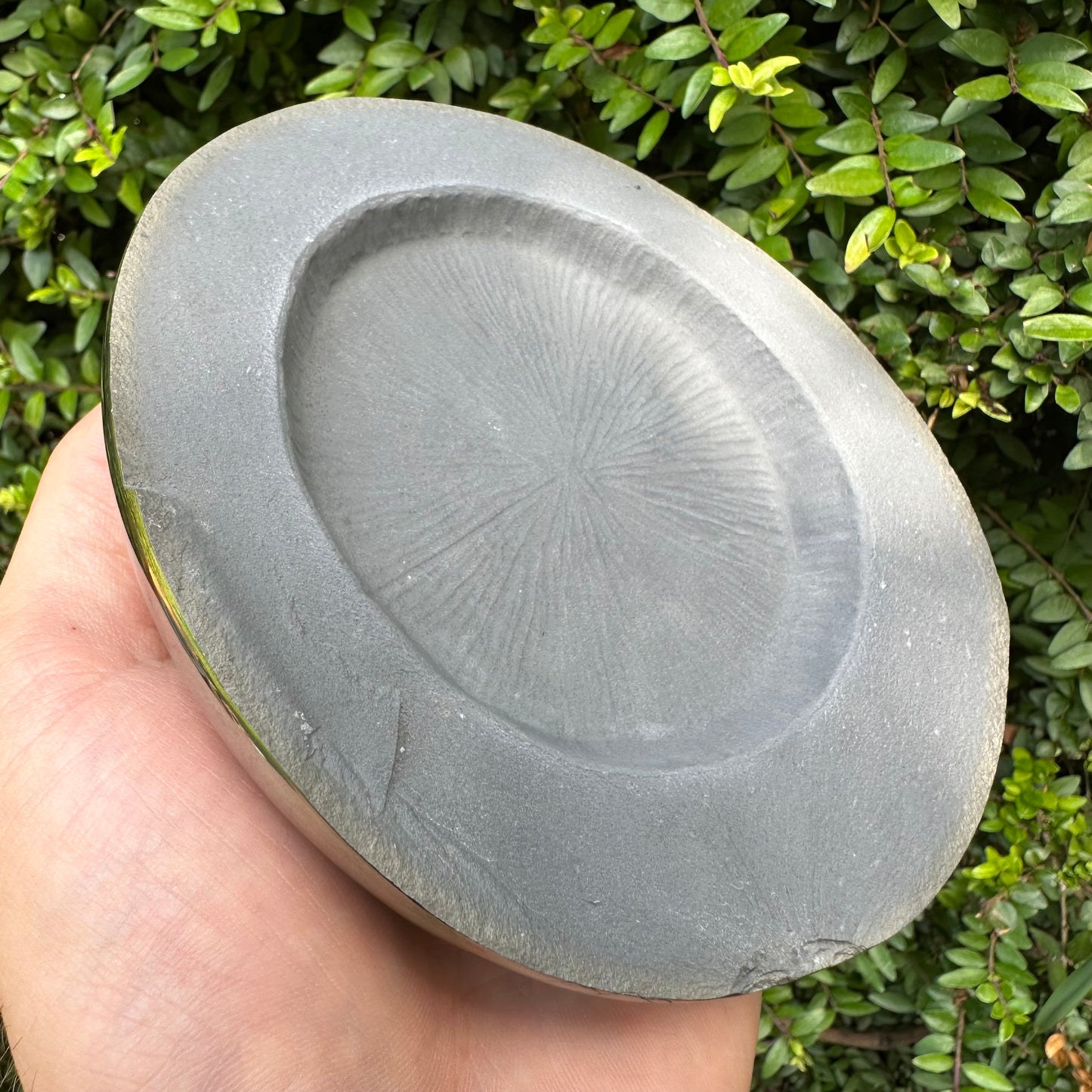 Golden Egg (IMPLANT) Ammonite fossil with stand - Whitby, North Yorkshire Jurassic Coast