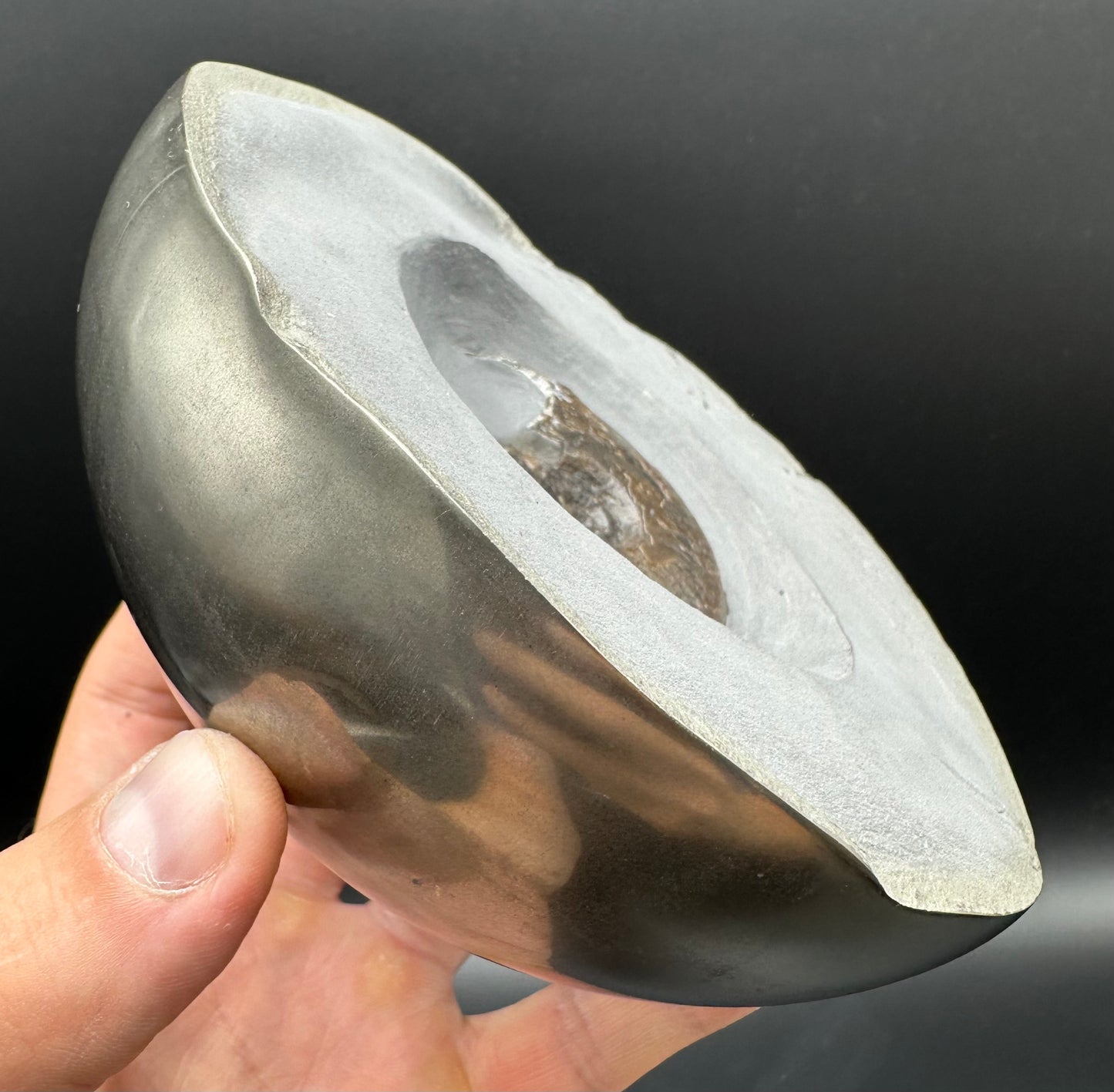 Golden Egg (GENUINE) Ammonite Fossil With Stand - Whitby, North Yorkshire Jurassic Coast Yorkshire Fossils