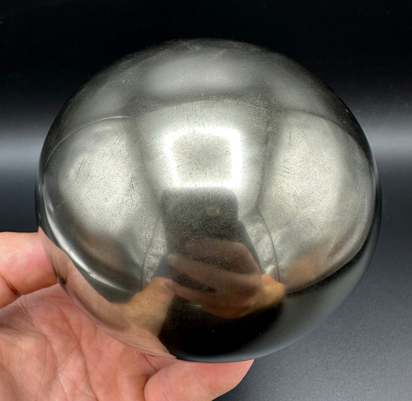 Golden Egg (GENUINE) Ammonite Fossil With Stand - Whitby, North Yorkshire Jurassic Coast Yorkshire Fossils