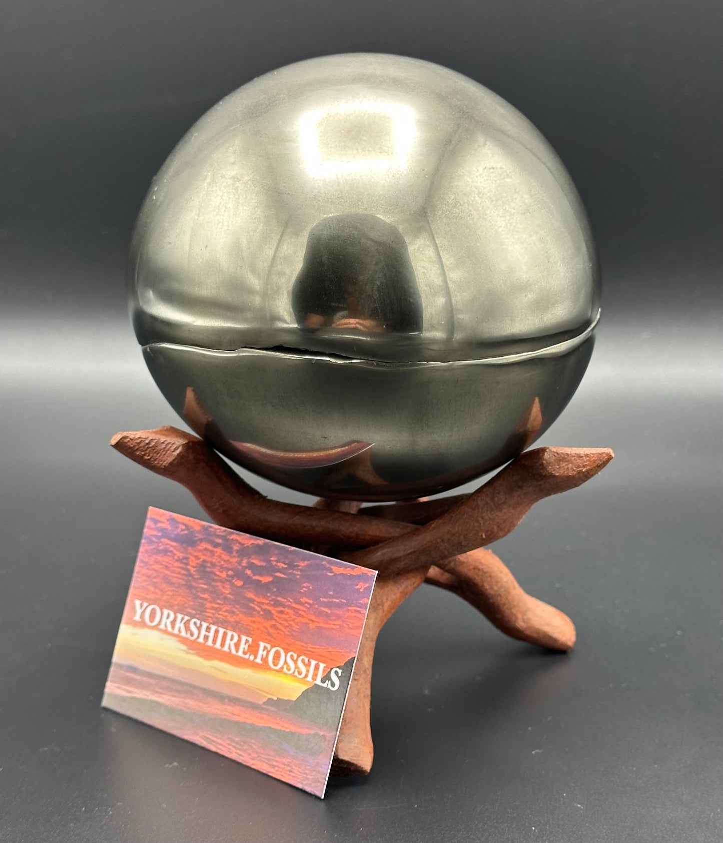 Golden Egg (IMPLANT) Ichthyosaur Vertebra fossil with stand - Whitby, North Yorkshire Jurassic Coast