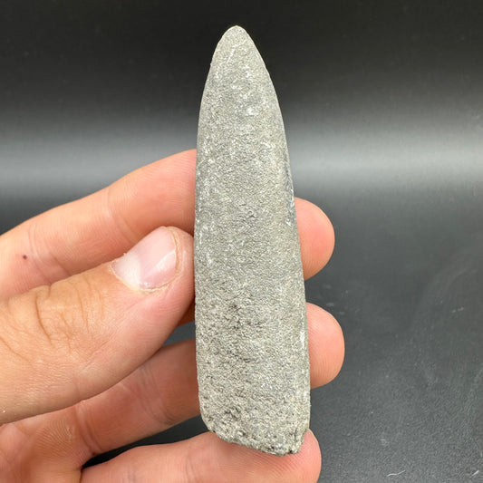 Belemnite (Fossil Squid) shell fossil - Whitby, North Yorkshire Jurassic Coast Yorkshire Fossils
