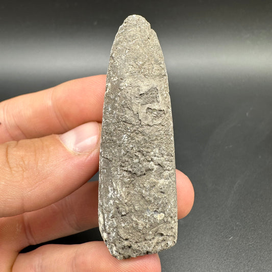 Belemnite (Fossil Squid) shell fossil - Whitby, North Yorkshire Jurassic Coast Yorkshire Fossils