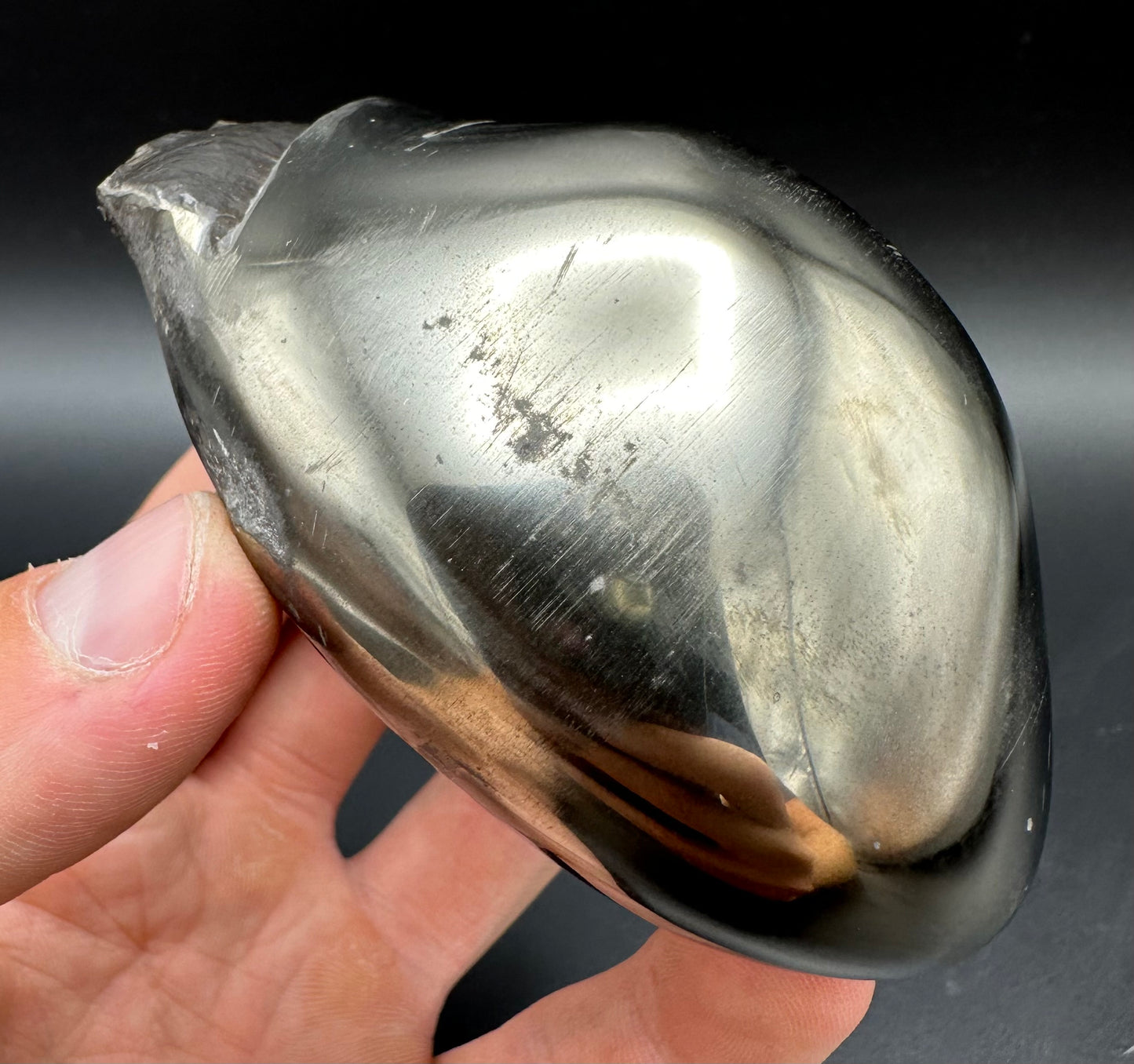 Golden Egg (GENUINE) Ammonite Fossil With Stand - Whitby, North Yorkshire Jurassic Coast Yorkshire Fossils