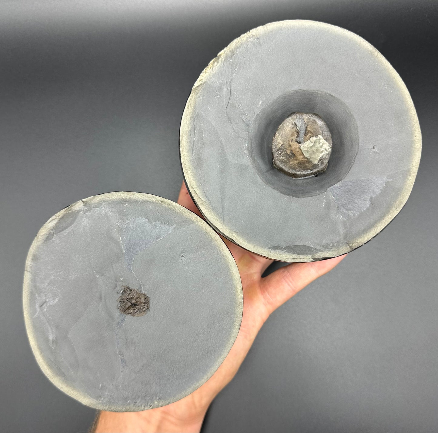 Golden Egg (IMPLANT) Ichthyosaur Vertebra fossil with stand - Whitby, North Yorkshire Jurassic Coast